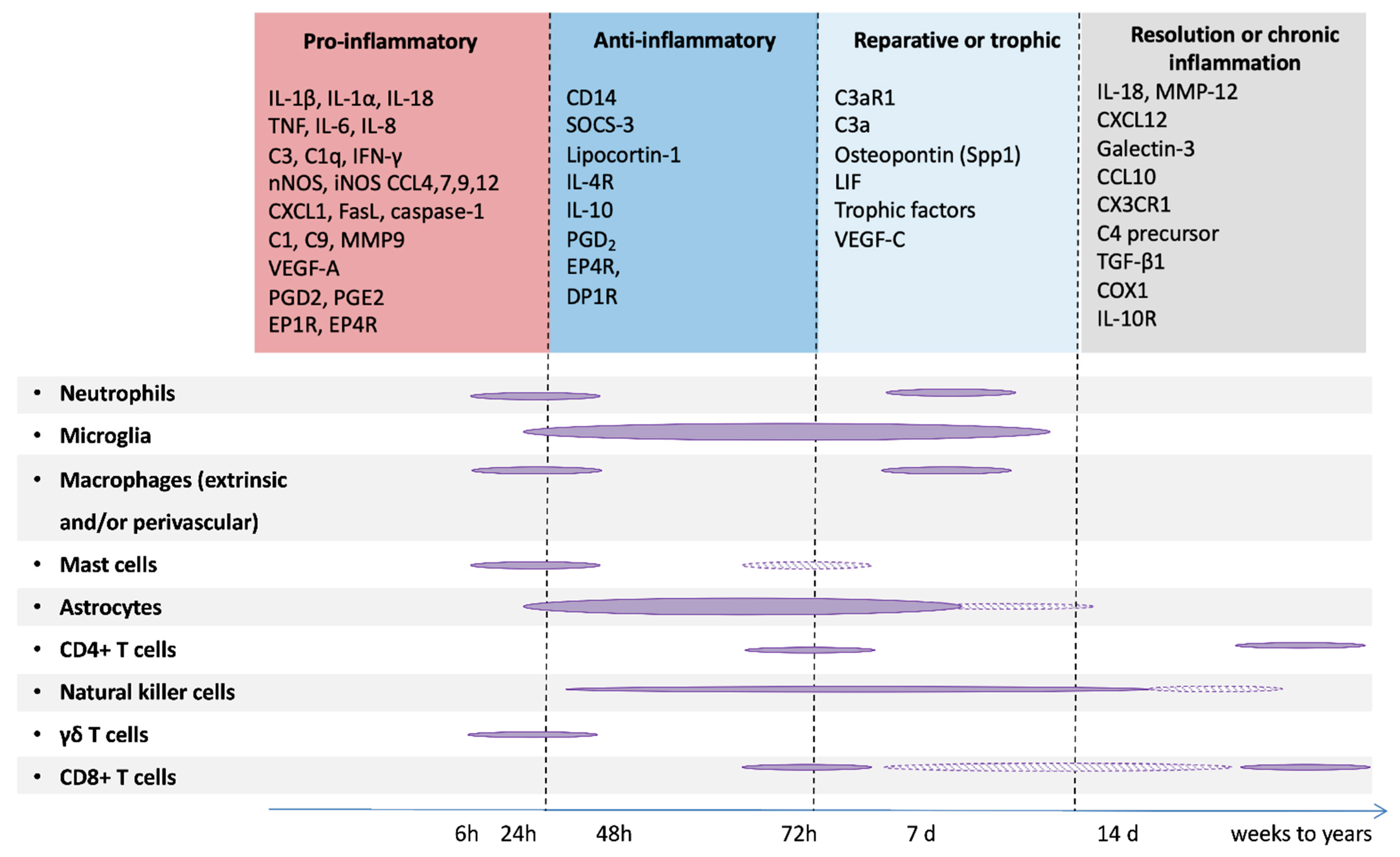 Biomolecules 11 00099 g004 Biomolecules 11 00099 g004