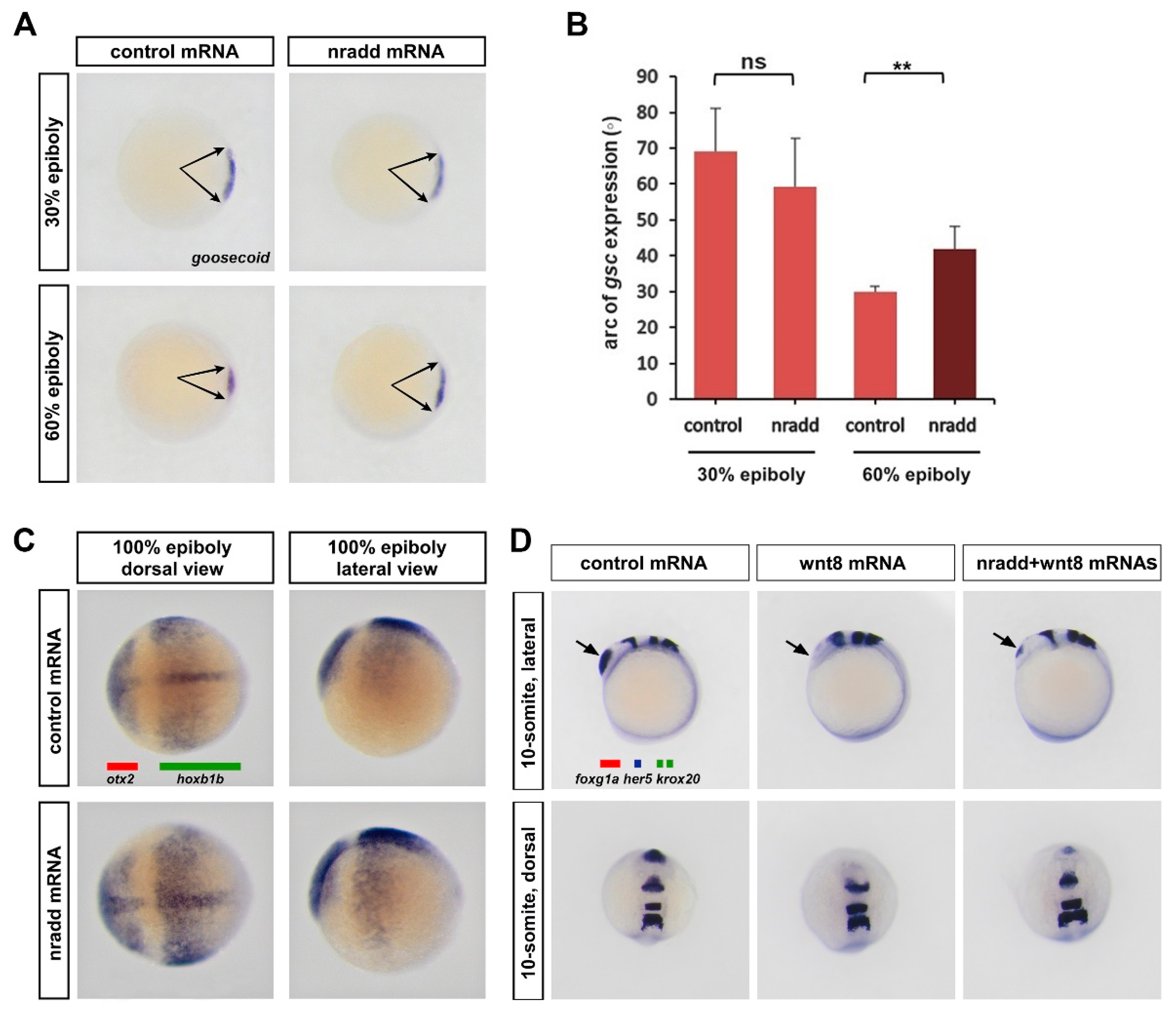Biomolecules 11 00100 g003