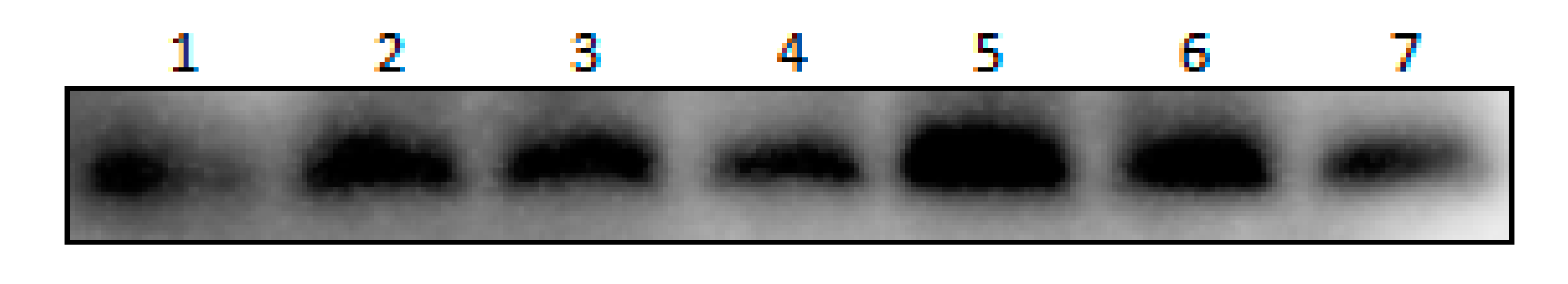 Biomolecules 11 00103 g002 Biomolecules 11 00103 g002