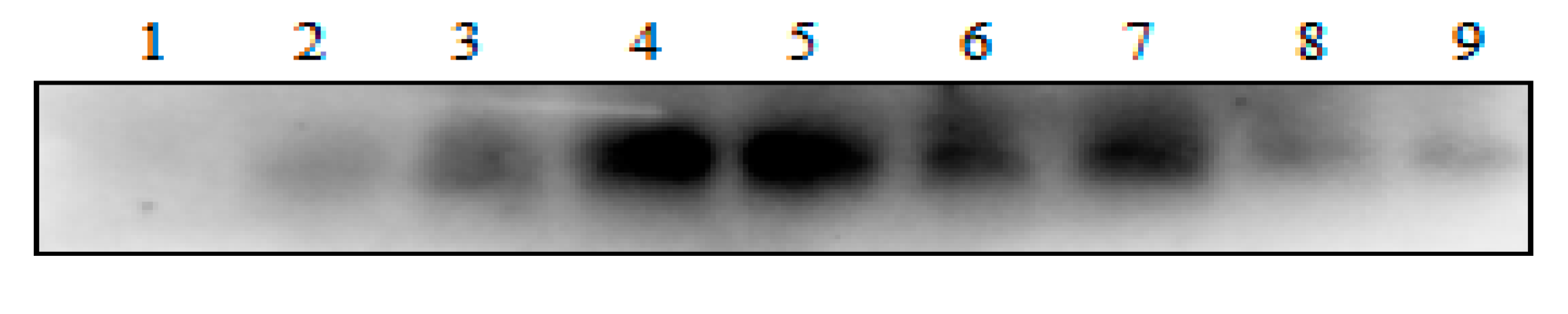 Biomolecules 11 00103 g003 Biomolecules 11 00103 g003
