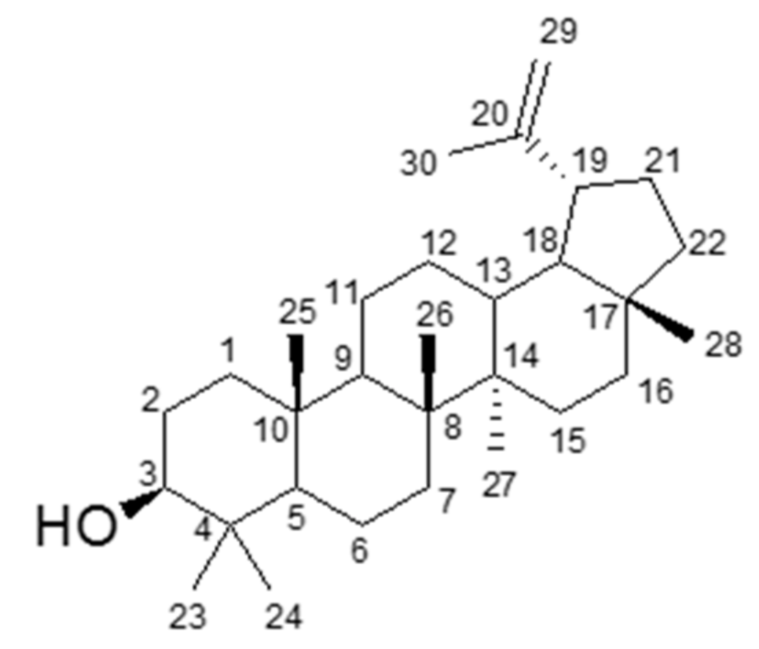 Biomolecules 11 00105 g002 Biomolecules 11 00105 g002