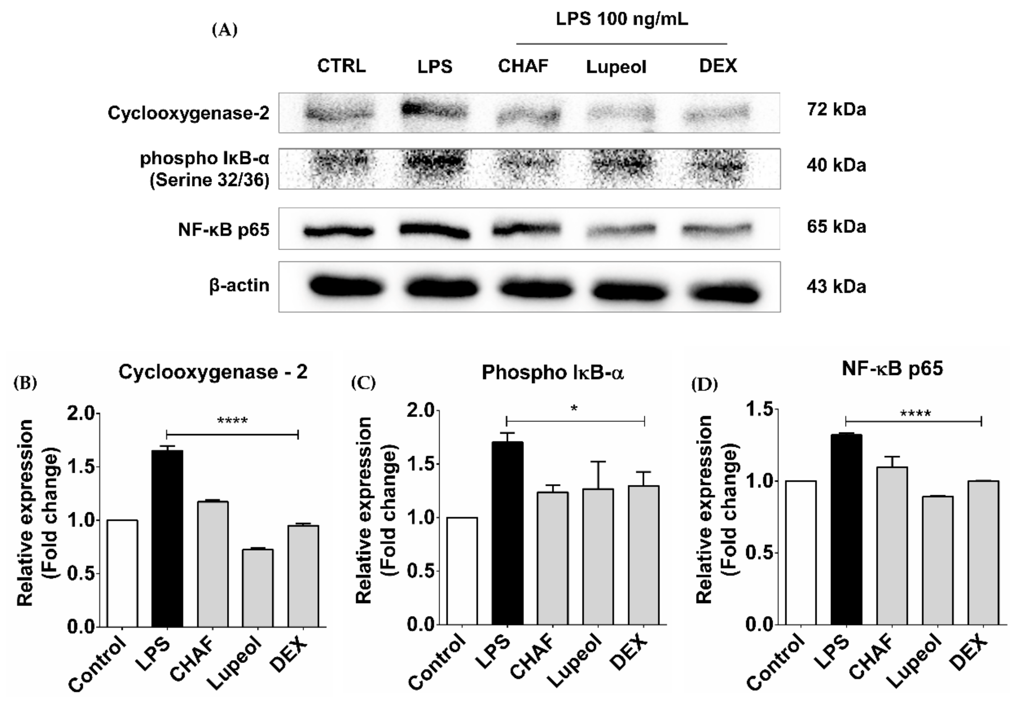 Biomolecules 11 00105 g006 Biomolecules 11 00105 g006