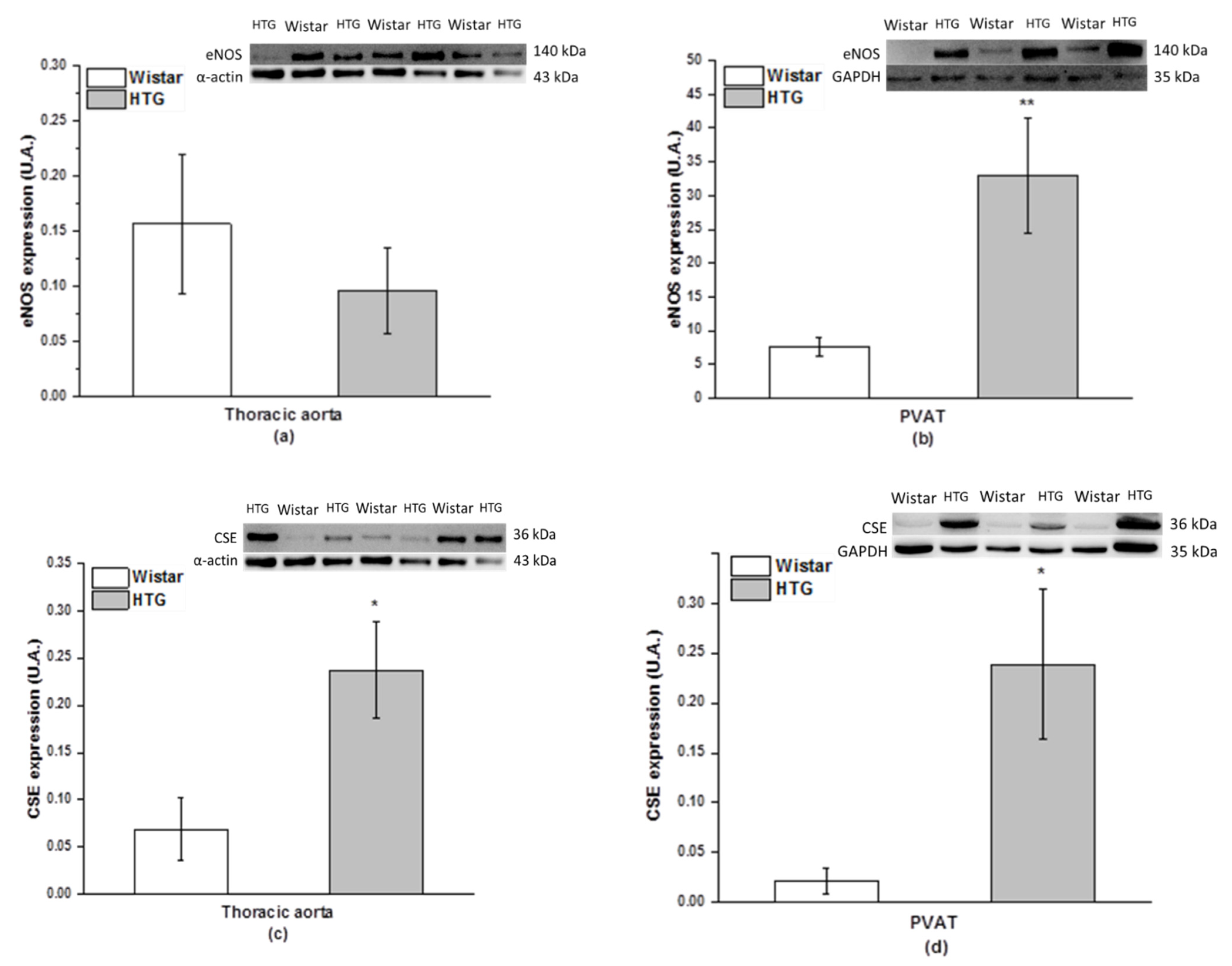 Biomolecules 11 00108 g005
