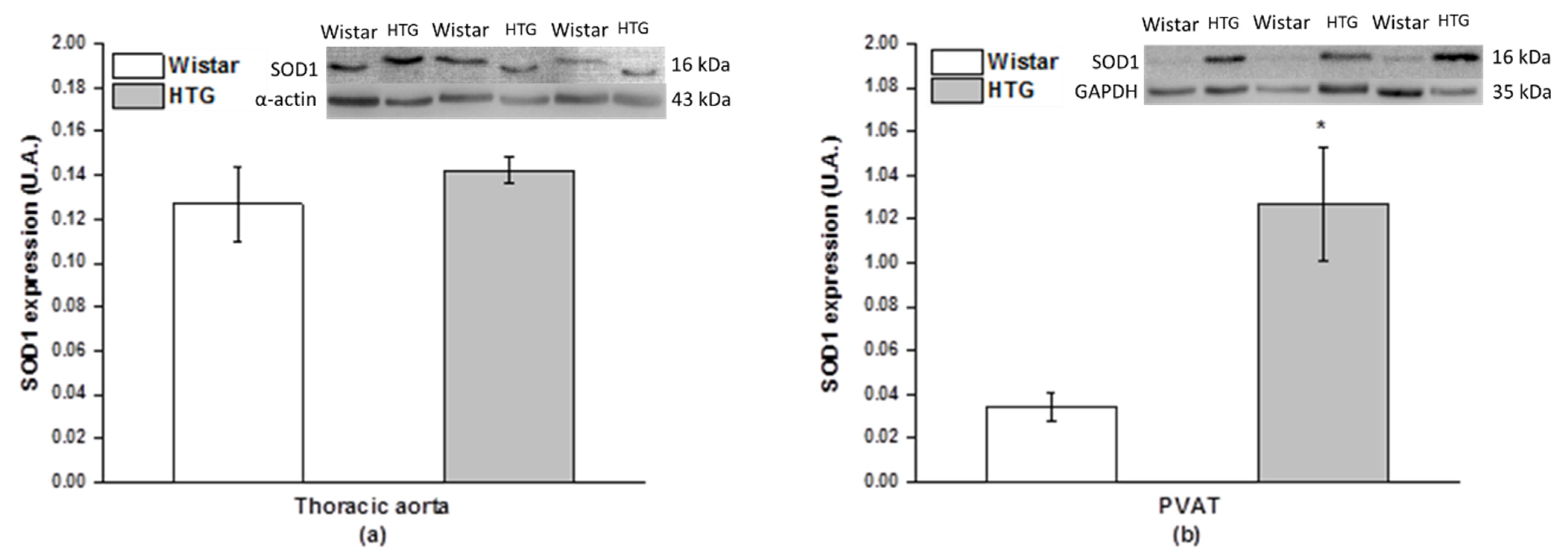 Biomolecules 11 00108 g008a