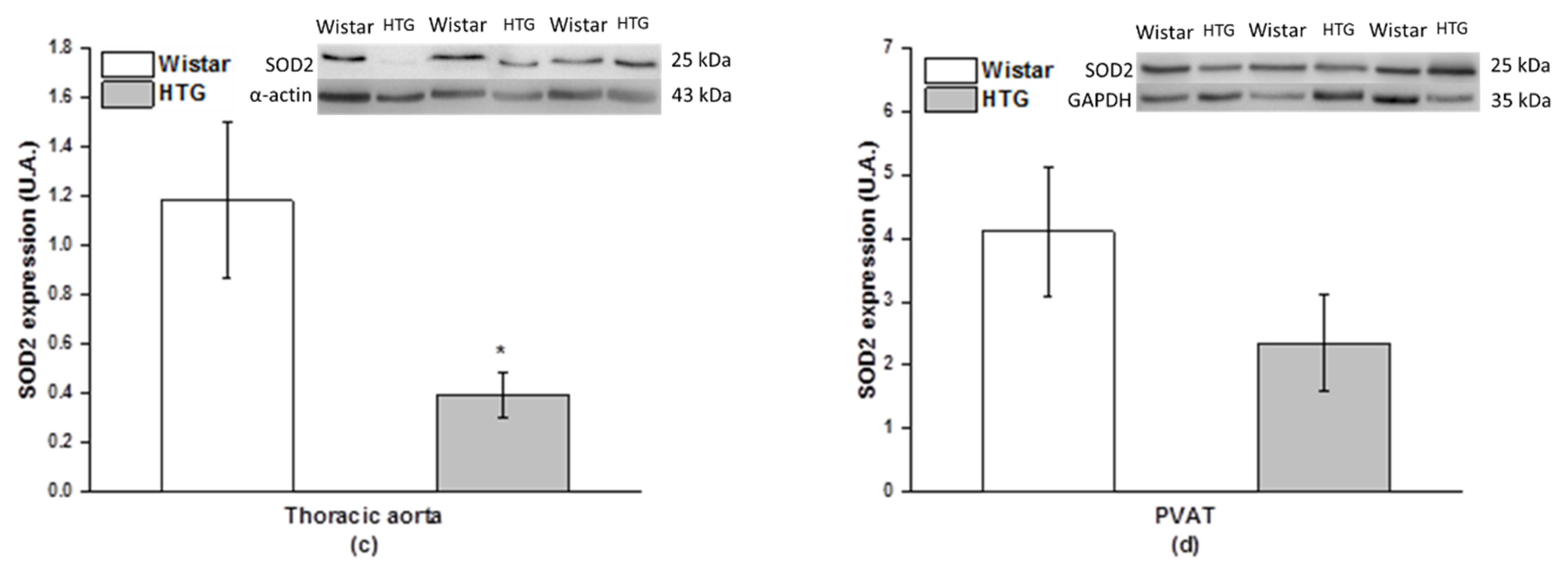 Biomolecules 11 00108 g008b