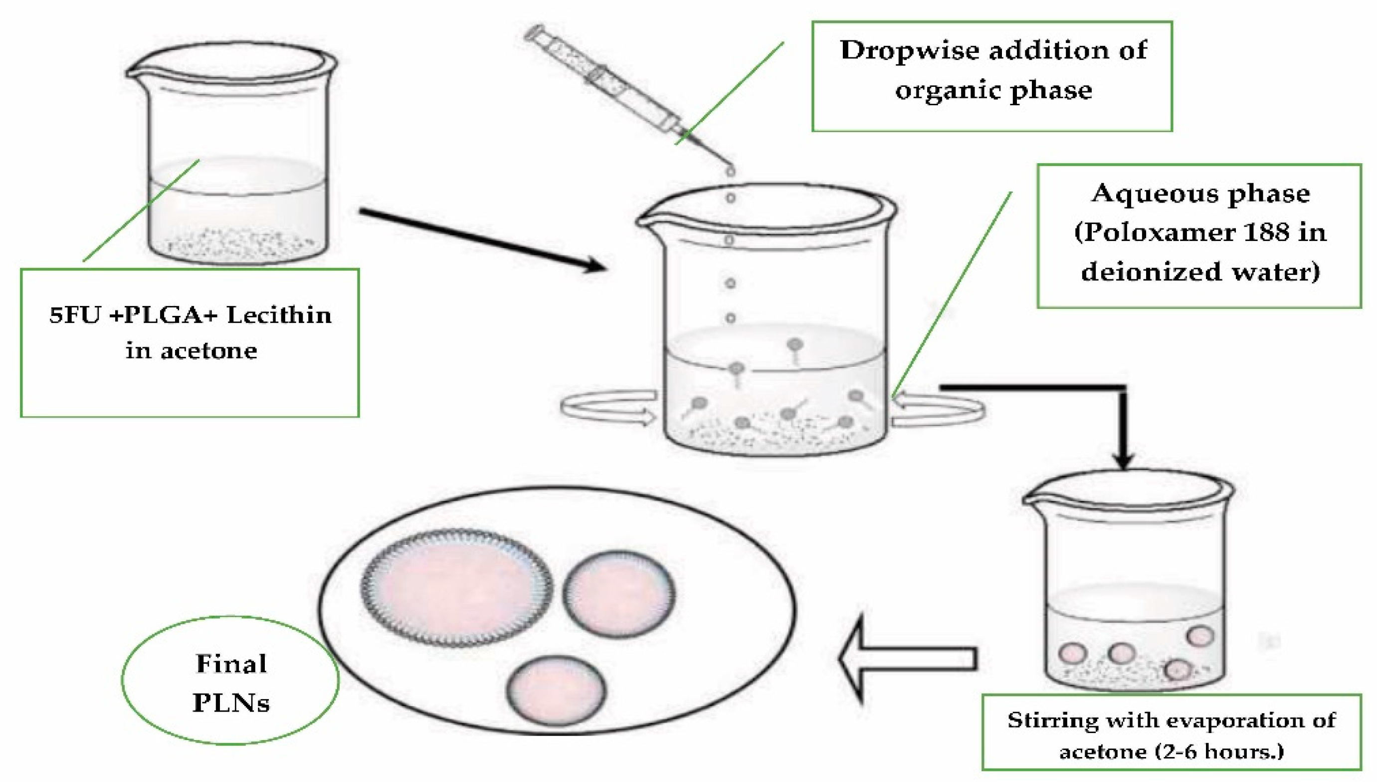 Biomolecules 11 00109 g001 Biomolecules 11 00109 g001