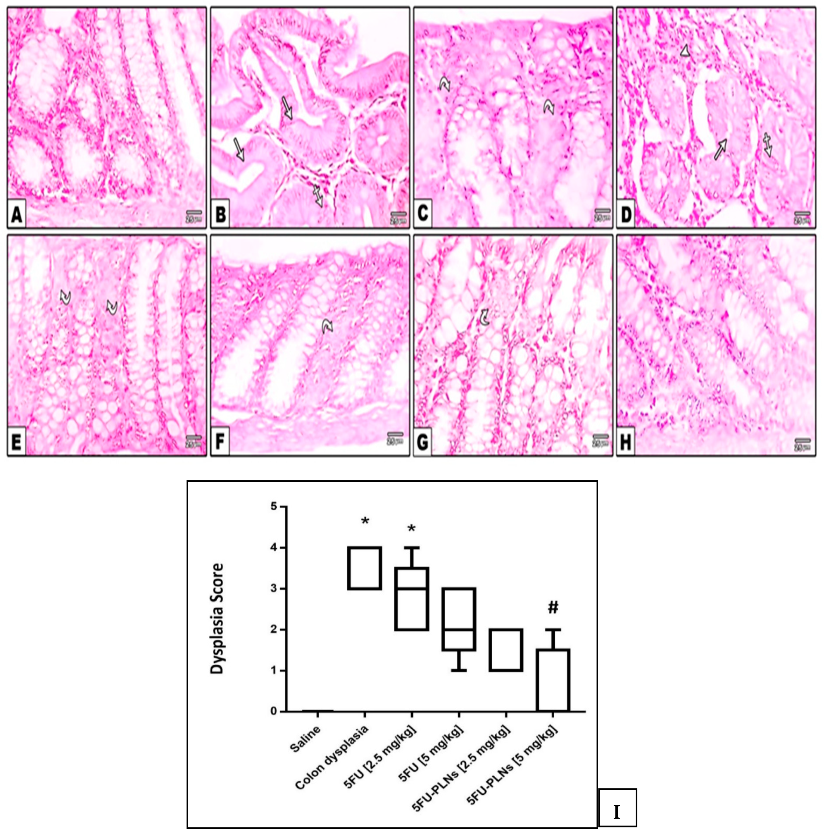 Biomolecules 11 00109 g007 Biomolecules 11 00109 g007