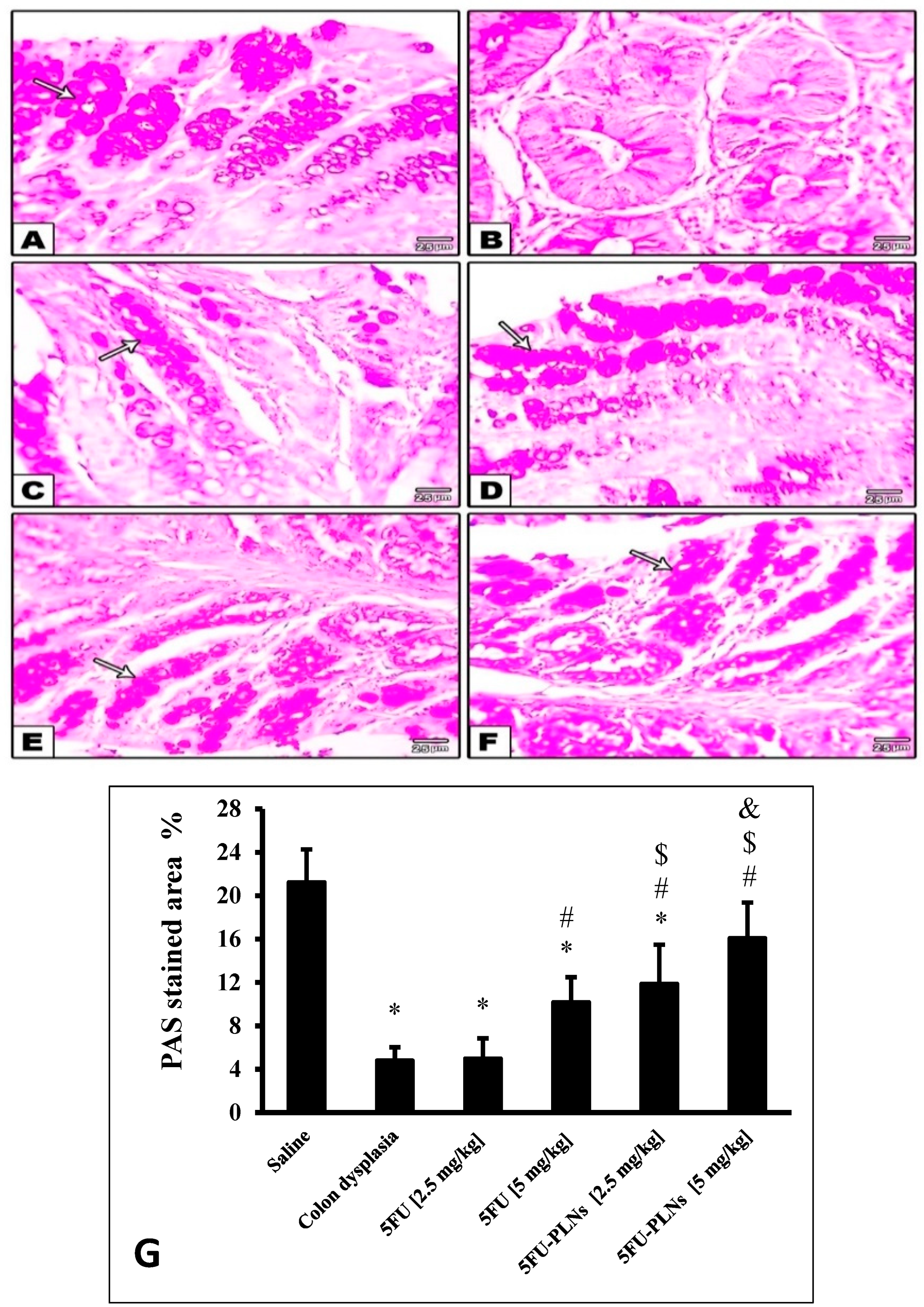 Biomolecules 11 00109 g008 Biomolecules 11 00109 g008