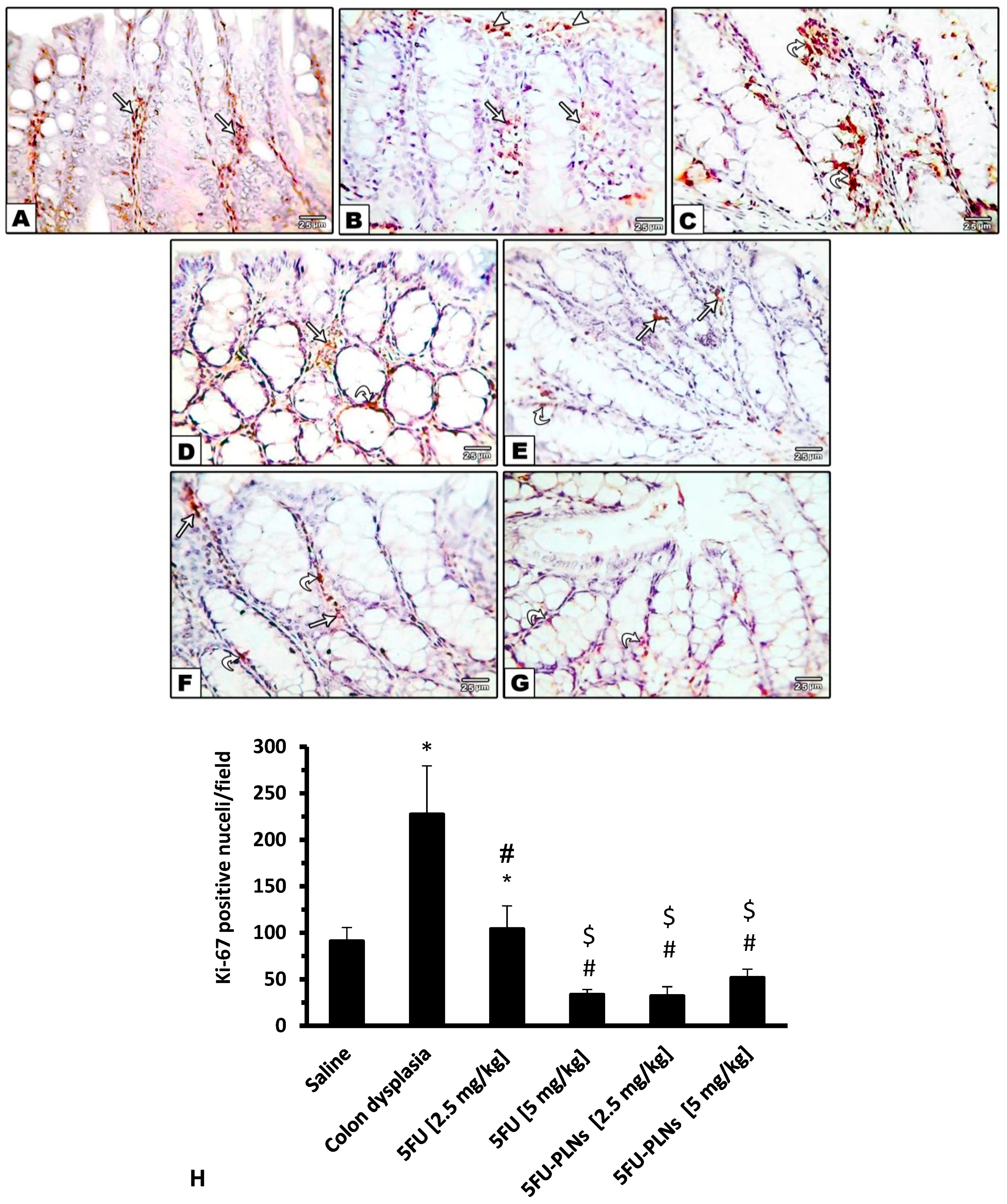 Biomolecules 11 00109 g009 Biomolecules 11 00109 g009