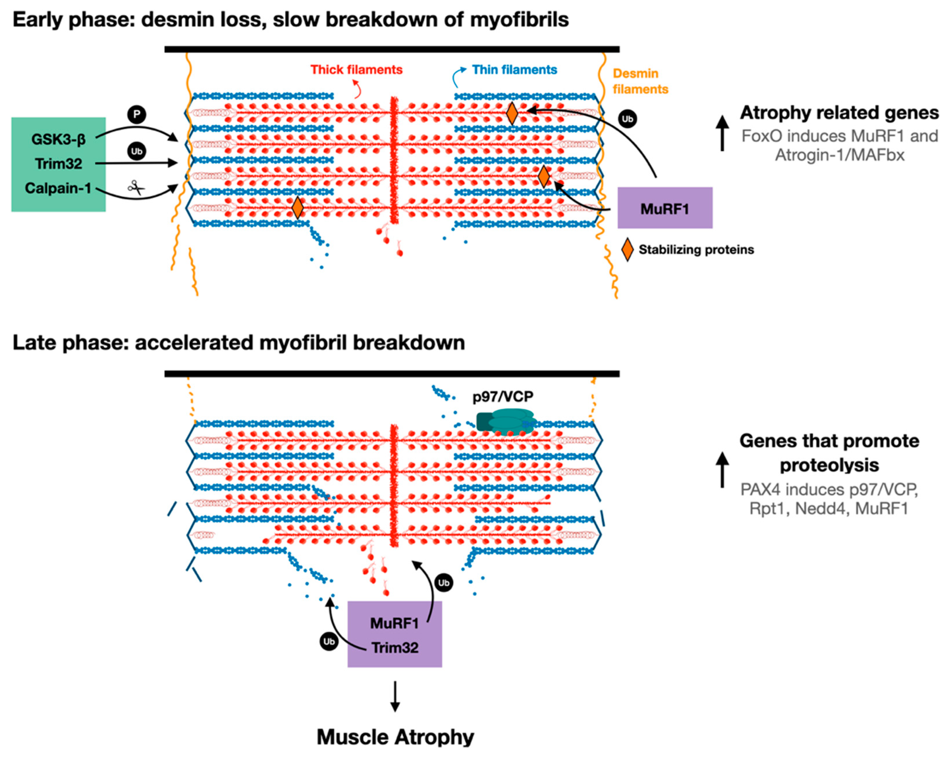 Biomolecules 11 00110 g002