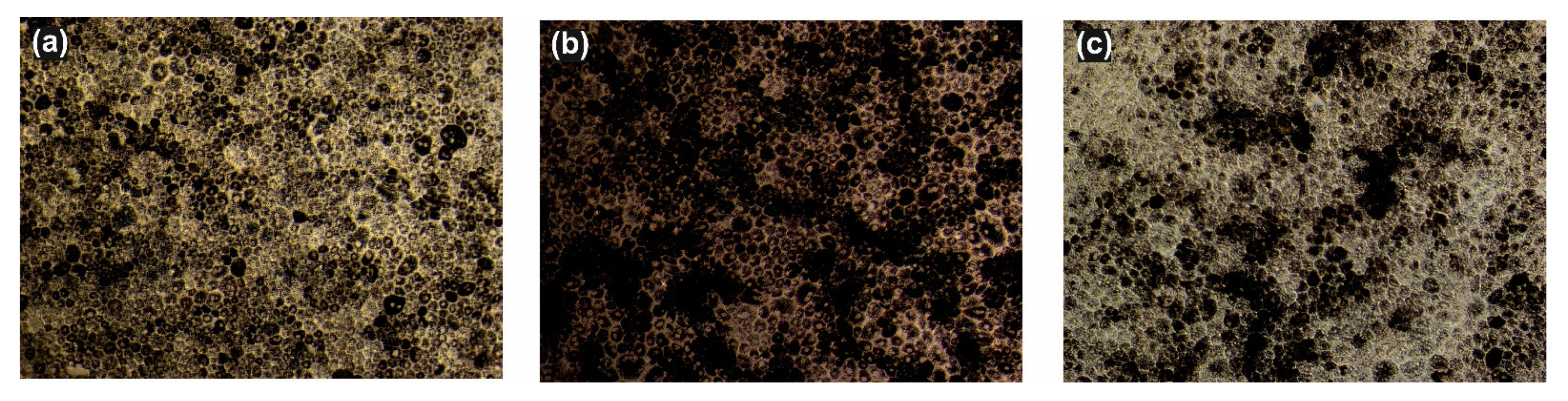 Biomolecules 11 00114 g001 Biomolecules 11 00114 g001