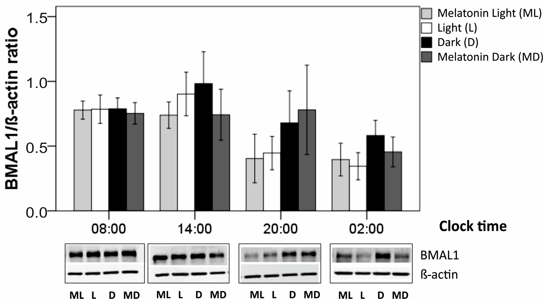 Biomolecules 11 00114 g005 Biomolecules 11 00114 g005