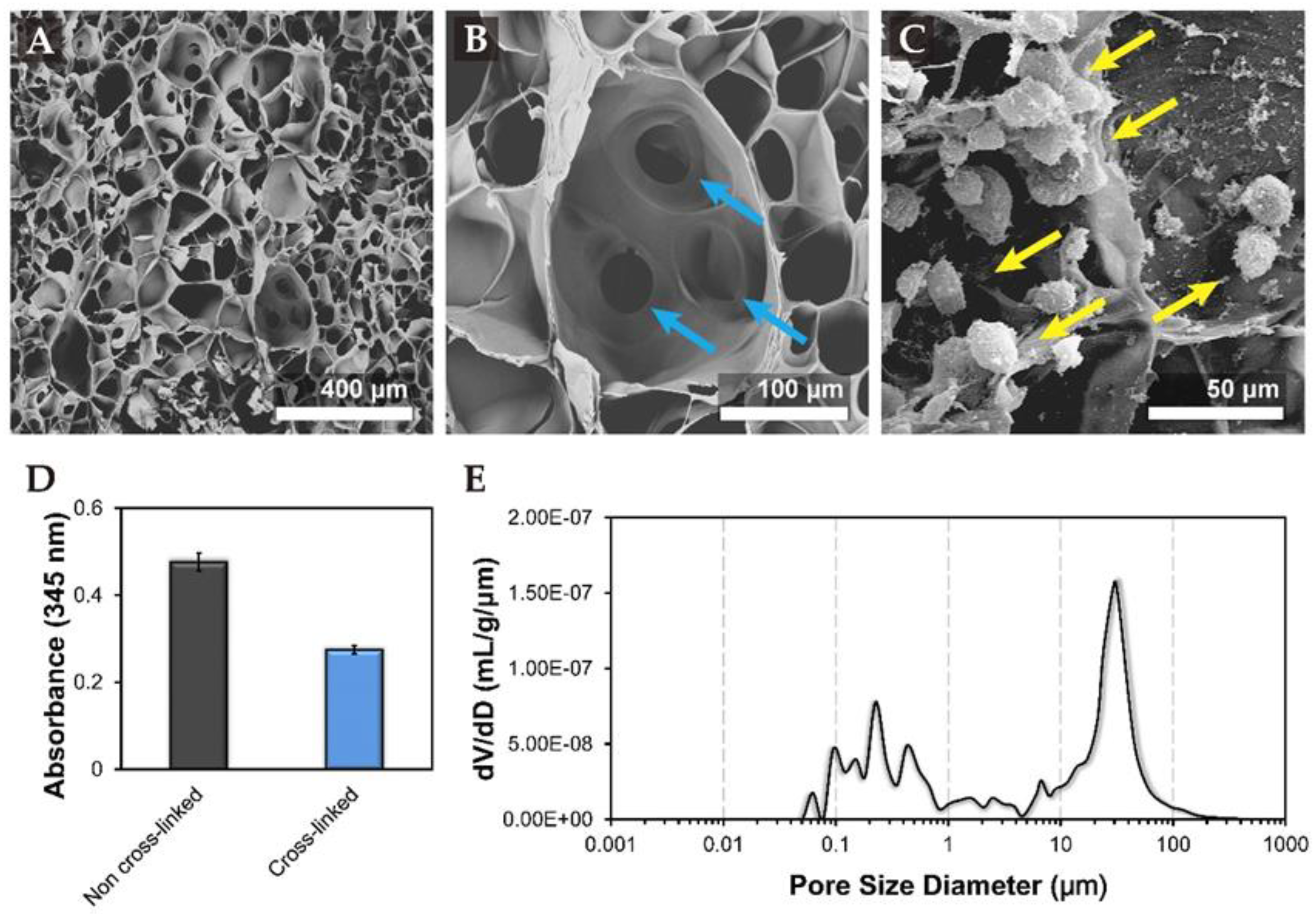 Biomolecules 11 00115 g001