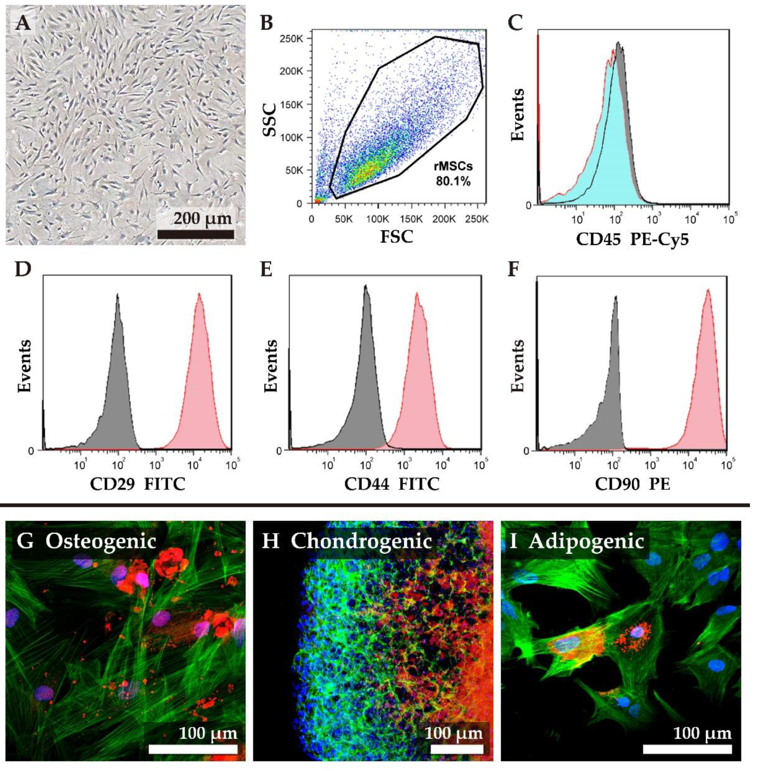 Biomolecules 11 00115 g002