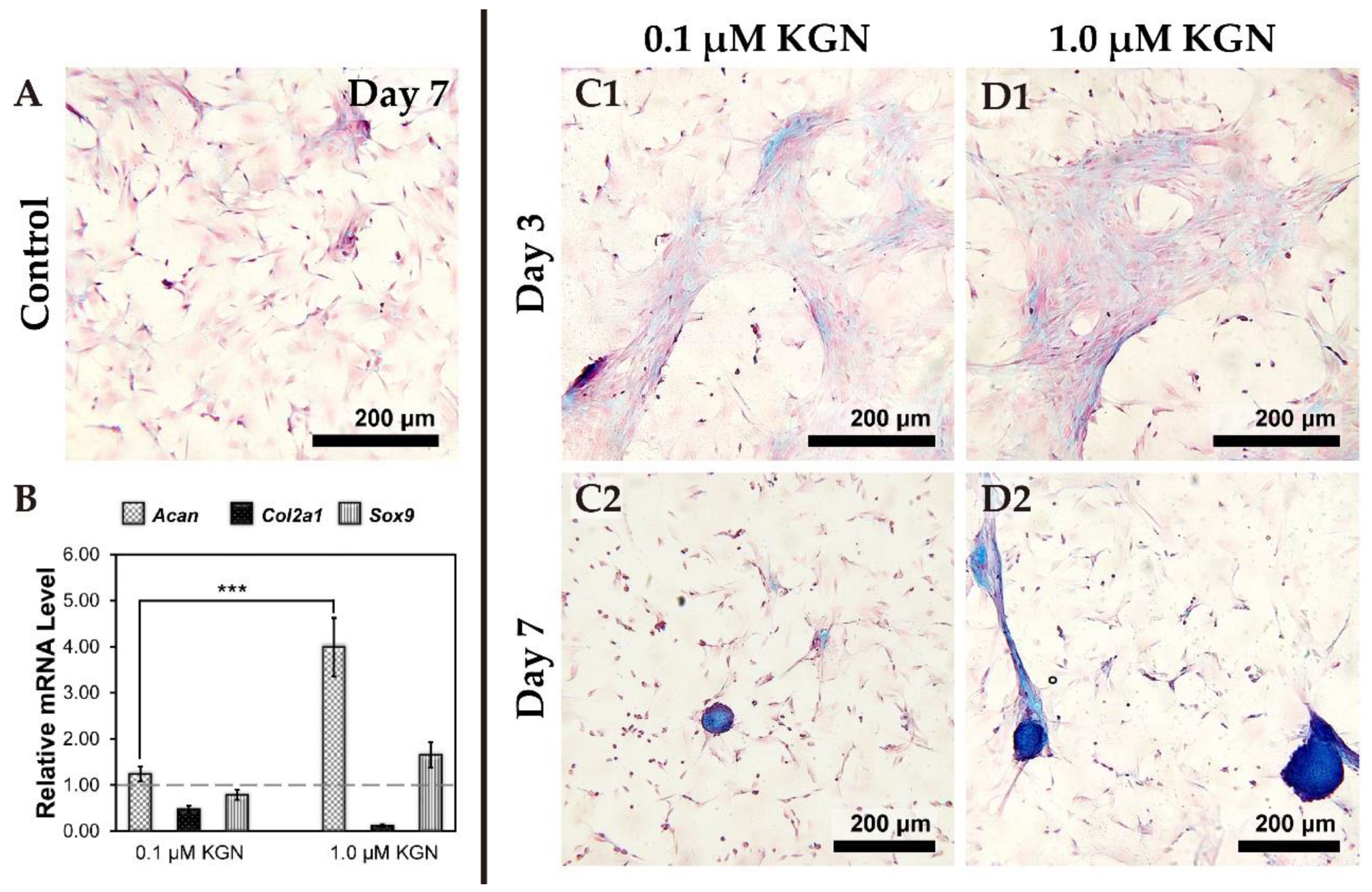 Biomolecules 11 00115 g003