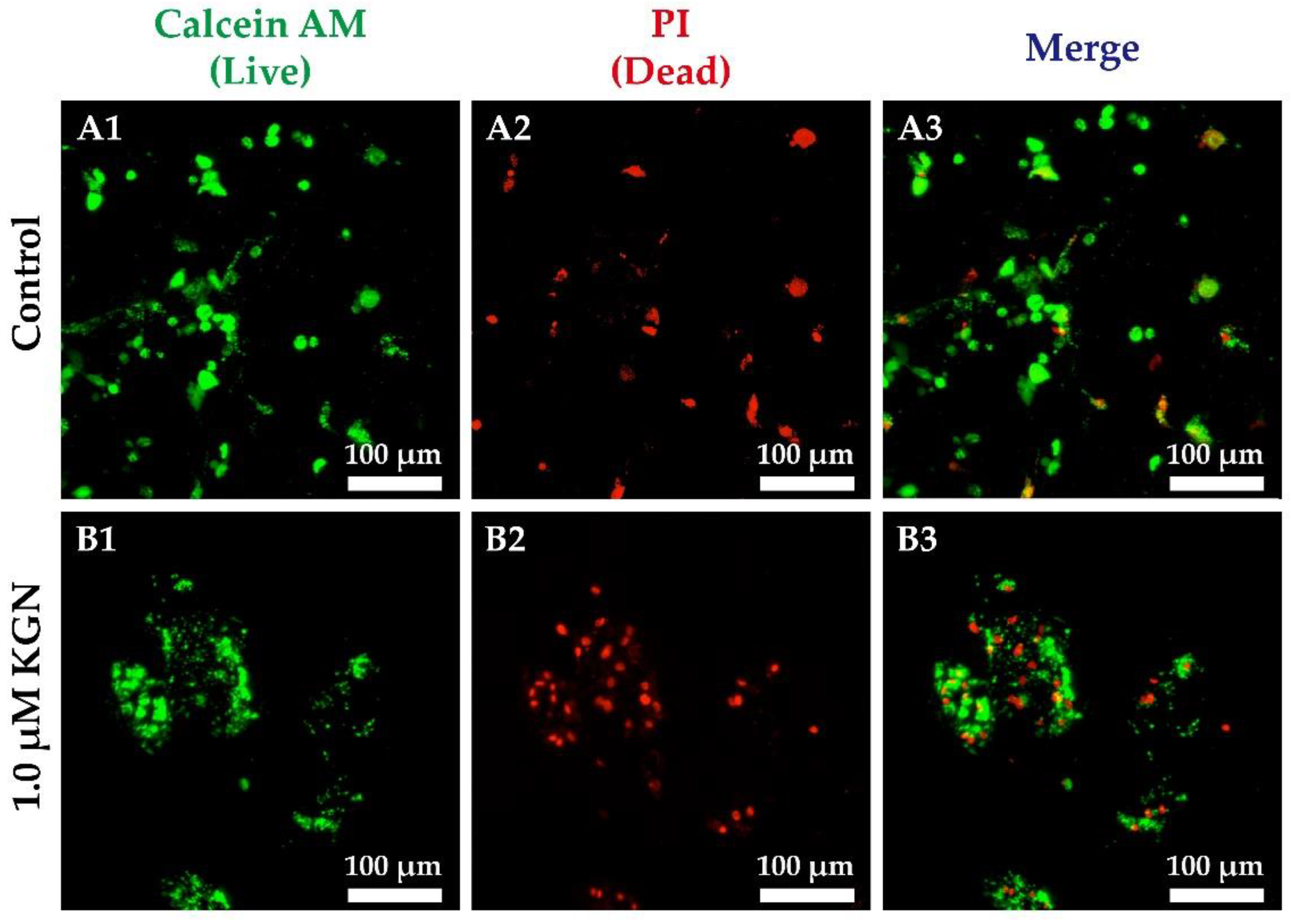 Biomolecules 11 00115 g004