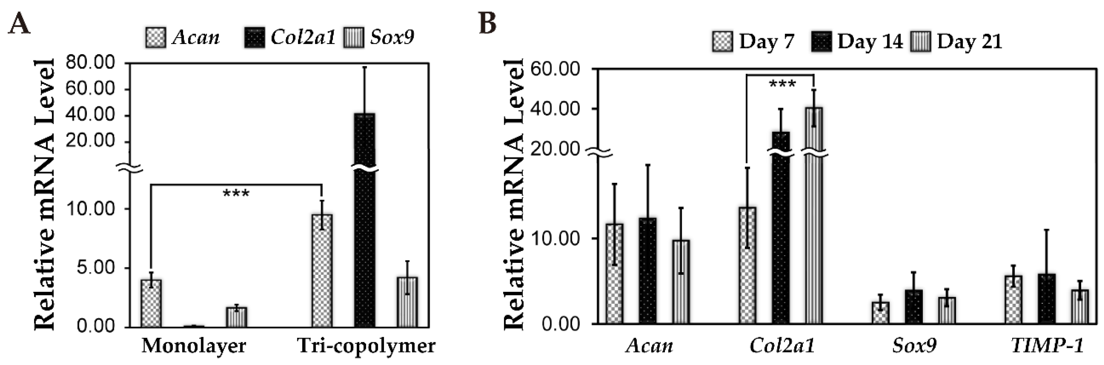 Biomolecules 11 00115 g005