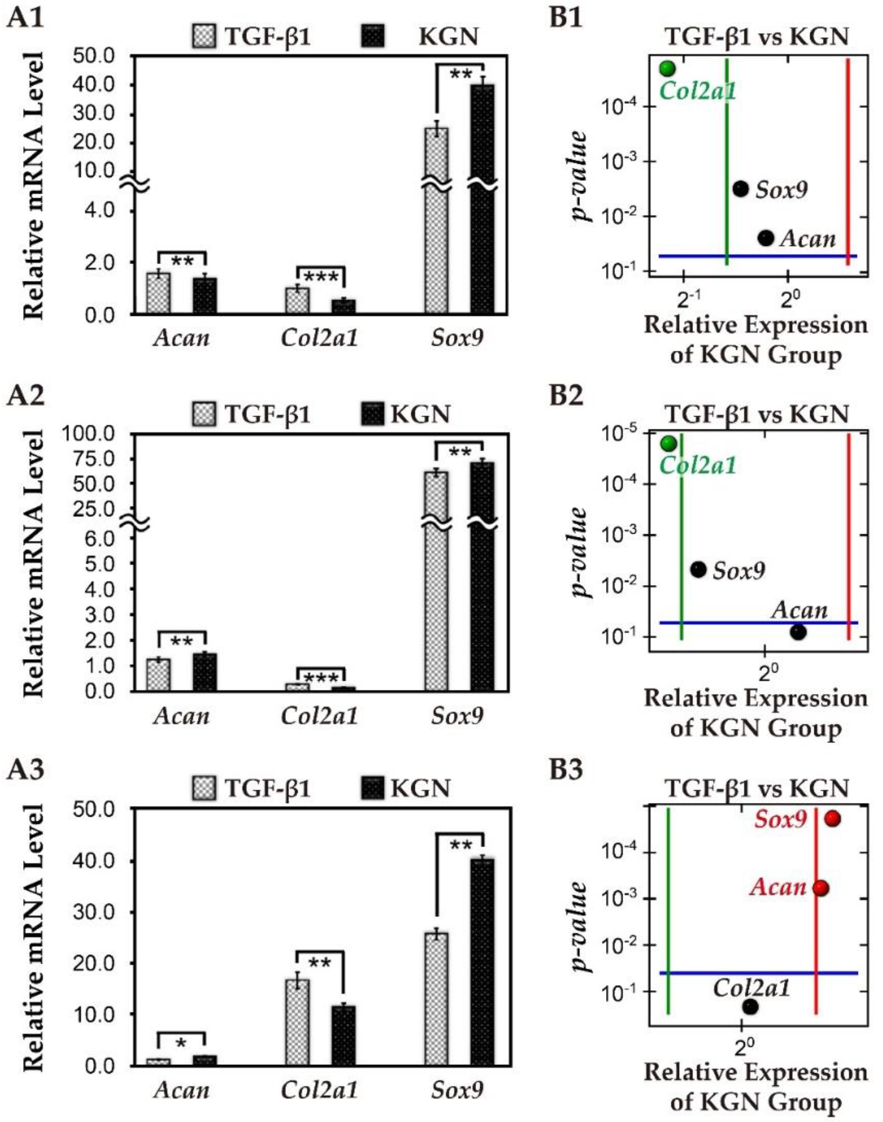 Biomolecules 11 00115 g006