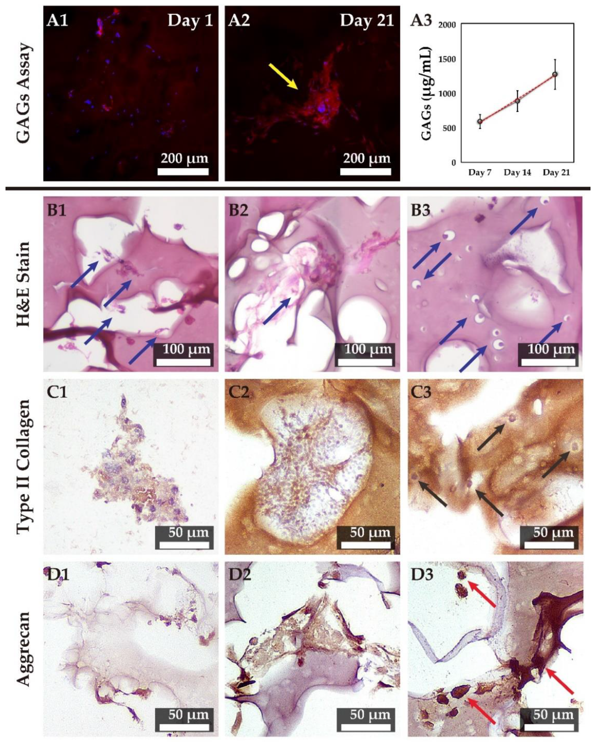 Biomolecules 11 00115 g008