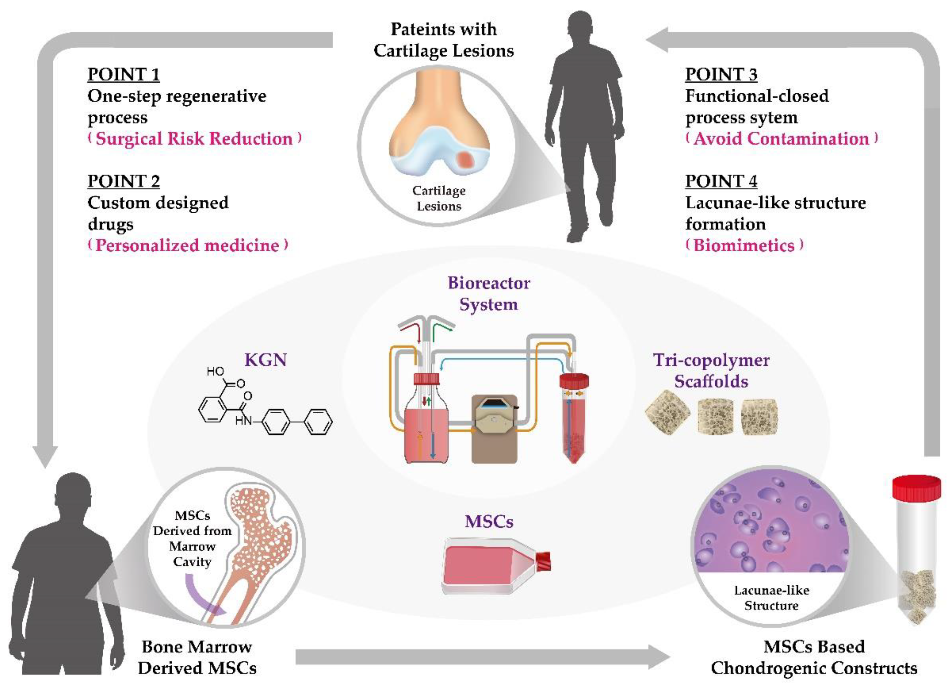 Biomolecules 11 00115 g009