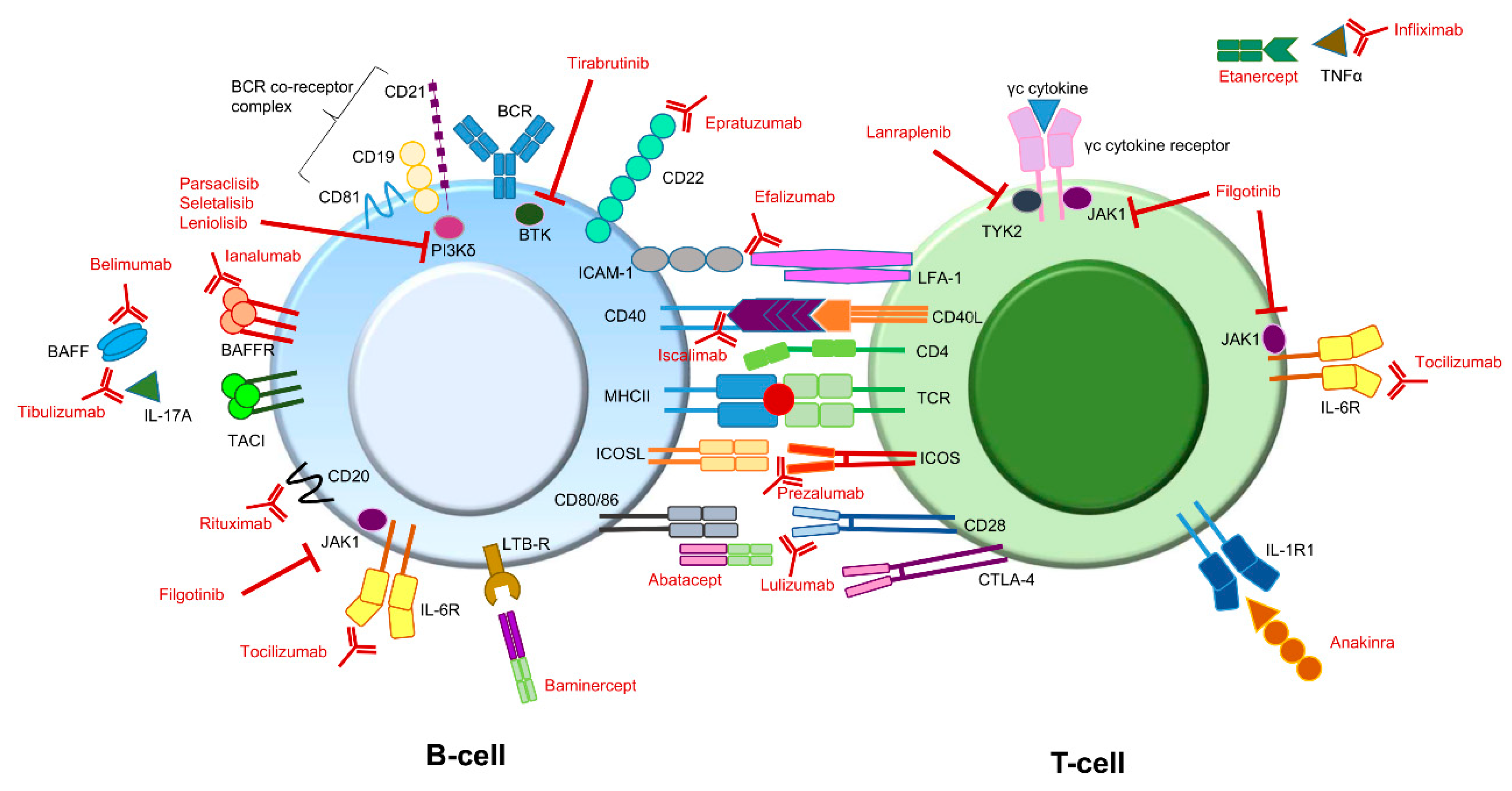 Biomolecules 11 00116 g002 Biomolecules 11 00116 g002