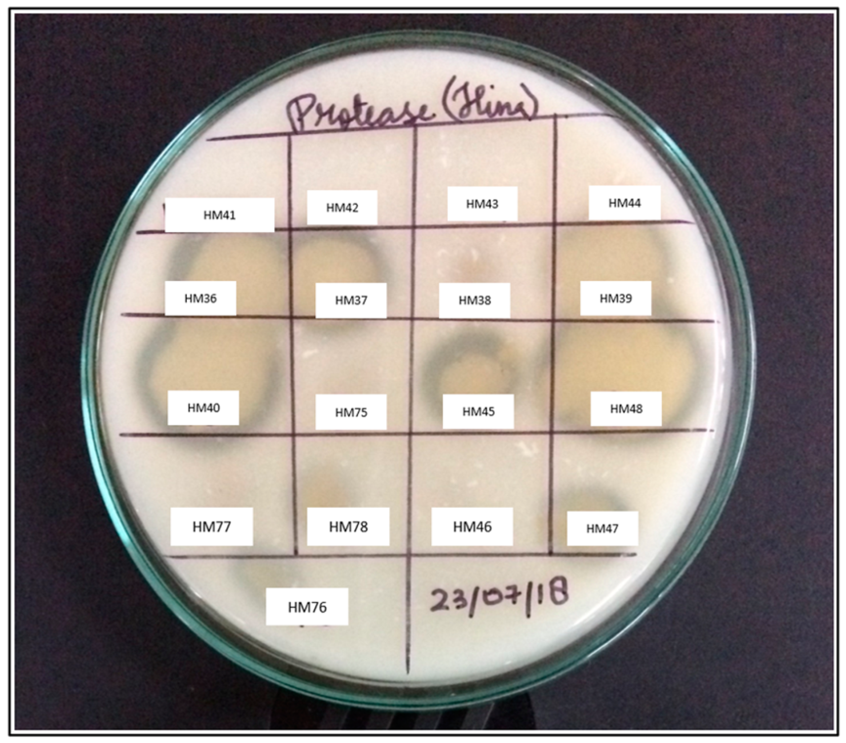 Biomolecules 11 00117 g002 Biomolecules 11 00117 g002