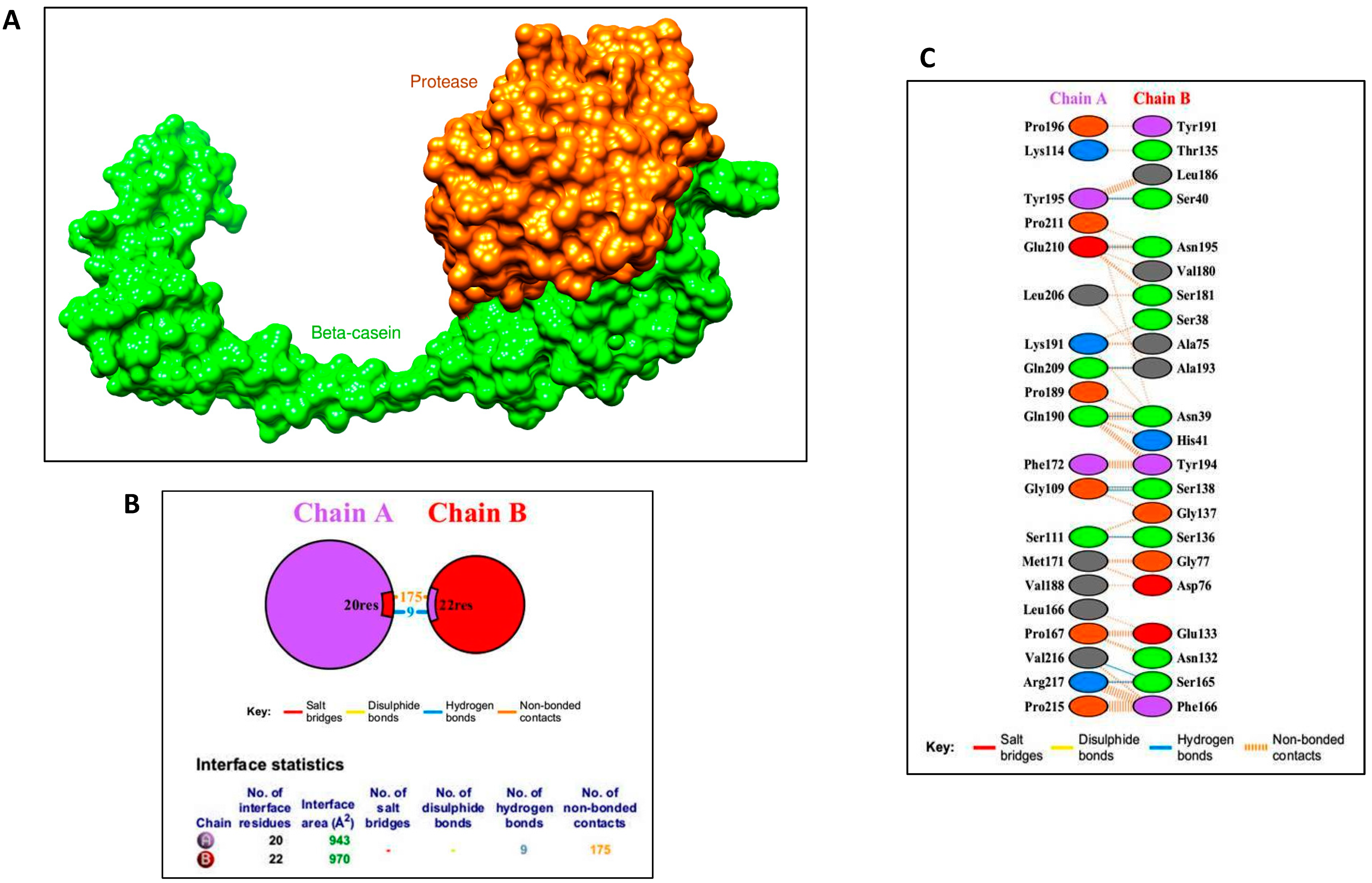 Biomolecules 11 00117 g012 Biomolecules 11 00117 g012