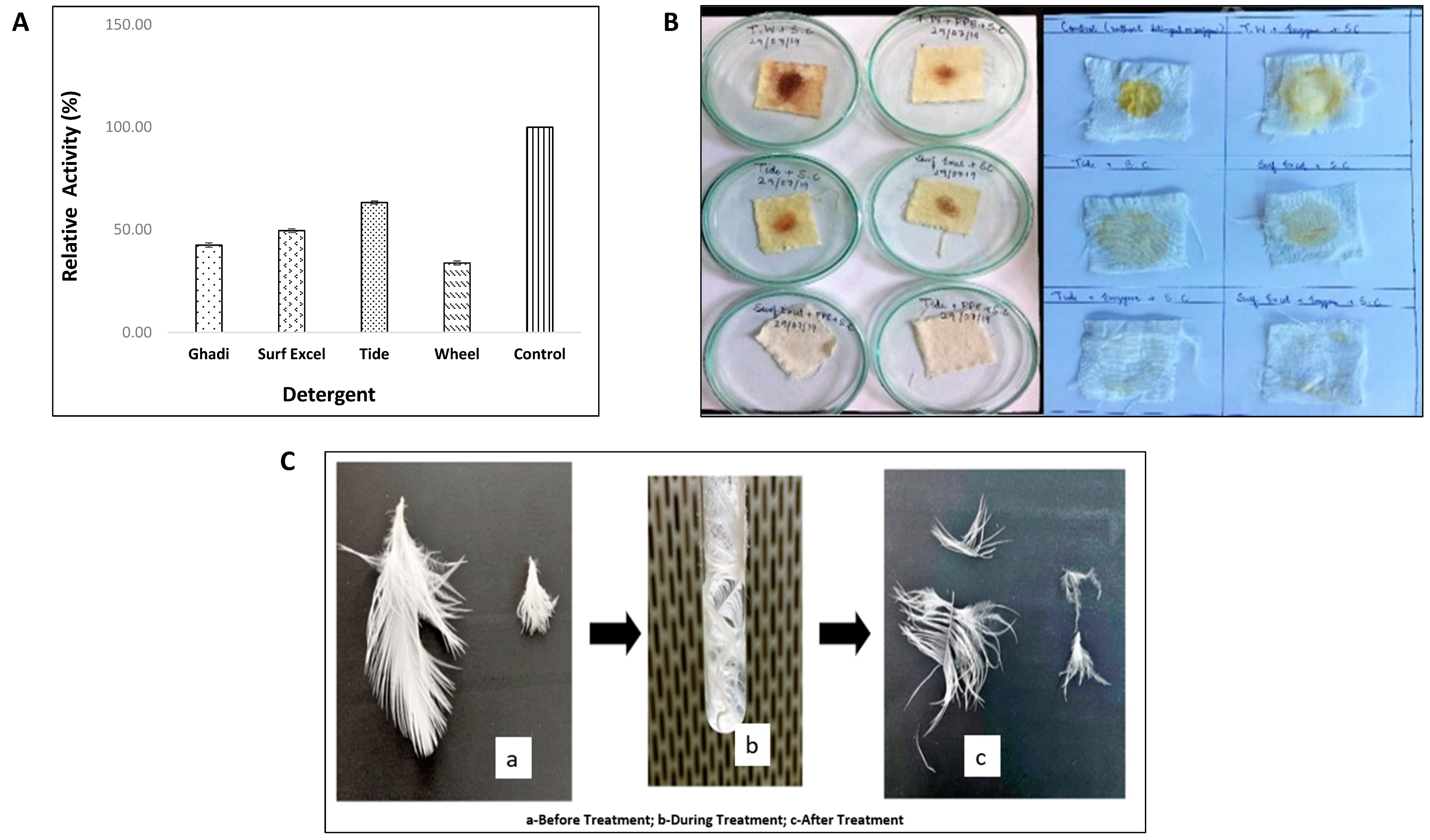 Biomolecules 11 00117 g013 Biomolecules 11 00117 g013