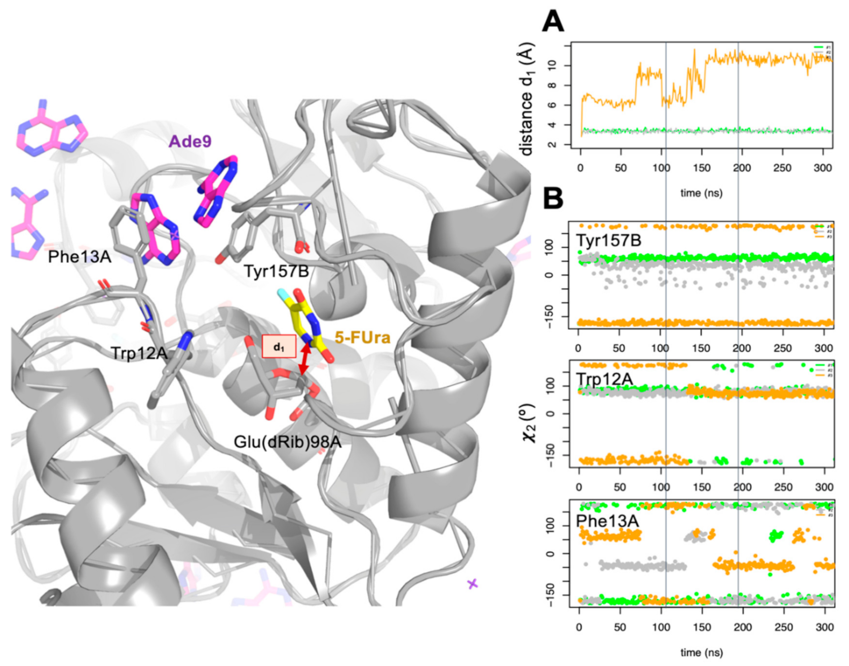 Biomolecules 11 00120 g004 Biomolecules 11 00120 g004