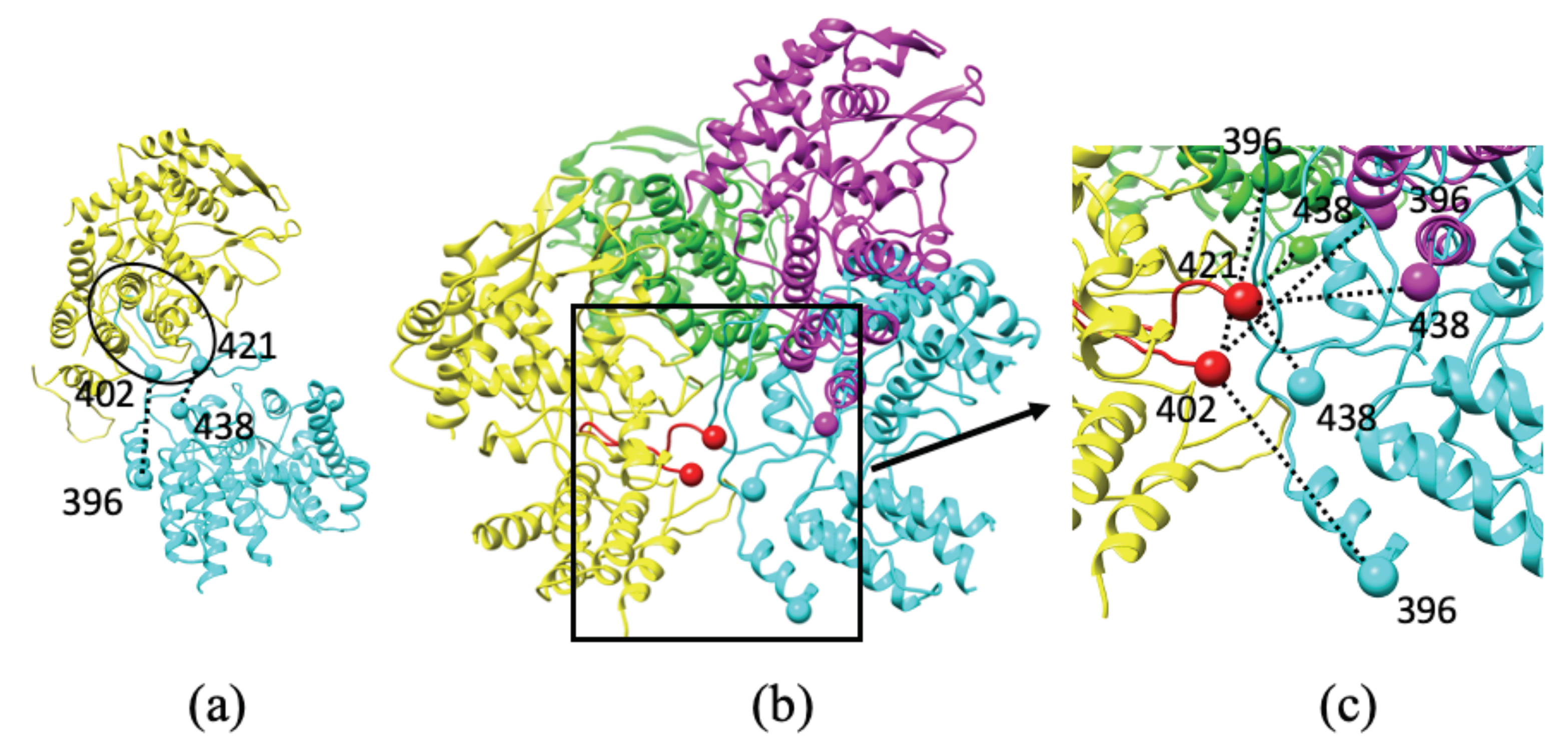 Biomolecules 11 00124 g002 Biomolecules 11 00124 g002