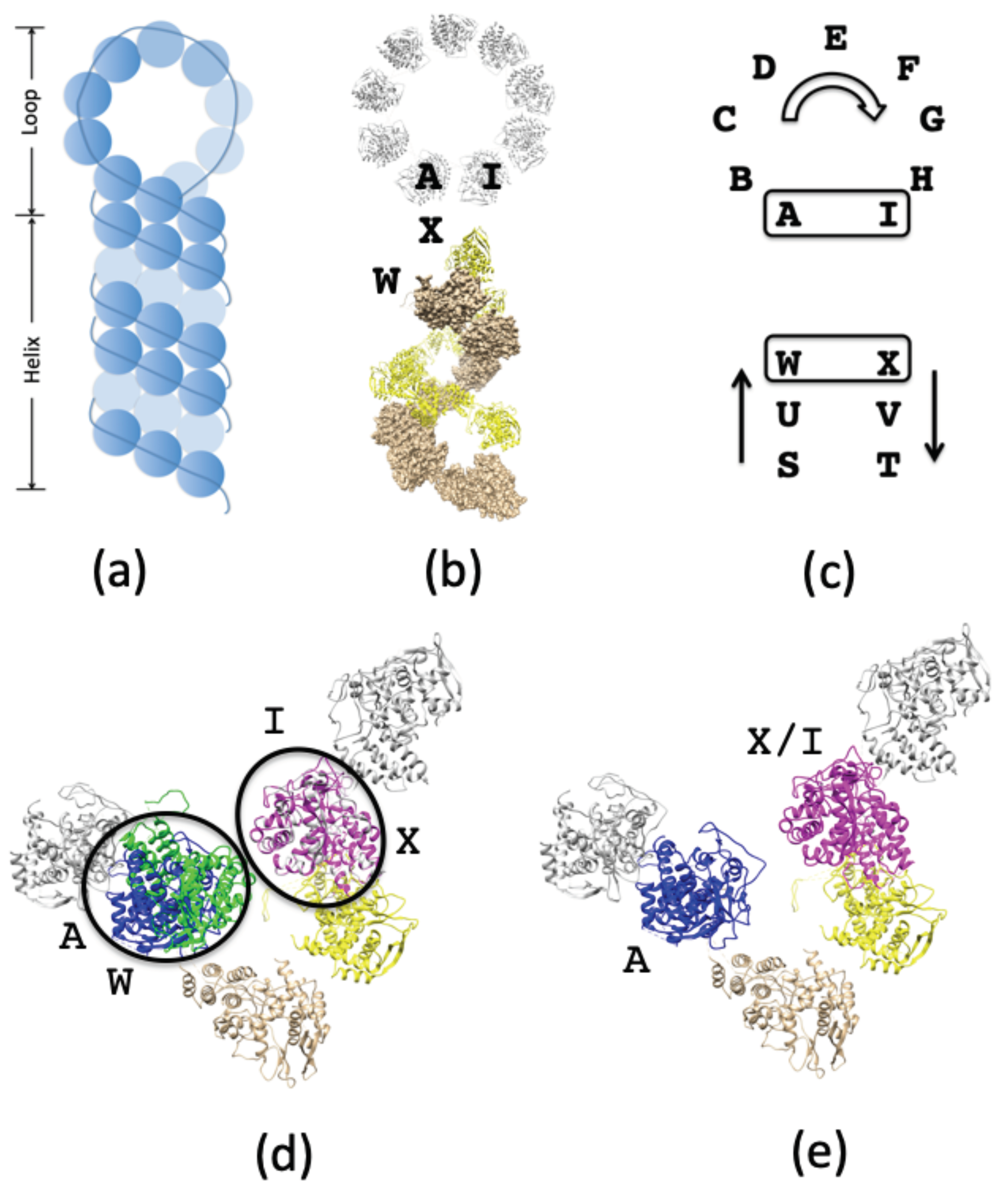Biomolecules 11 00124 g003 Biomolecules 11 00124 g003