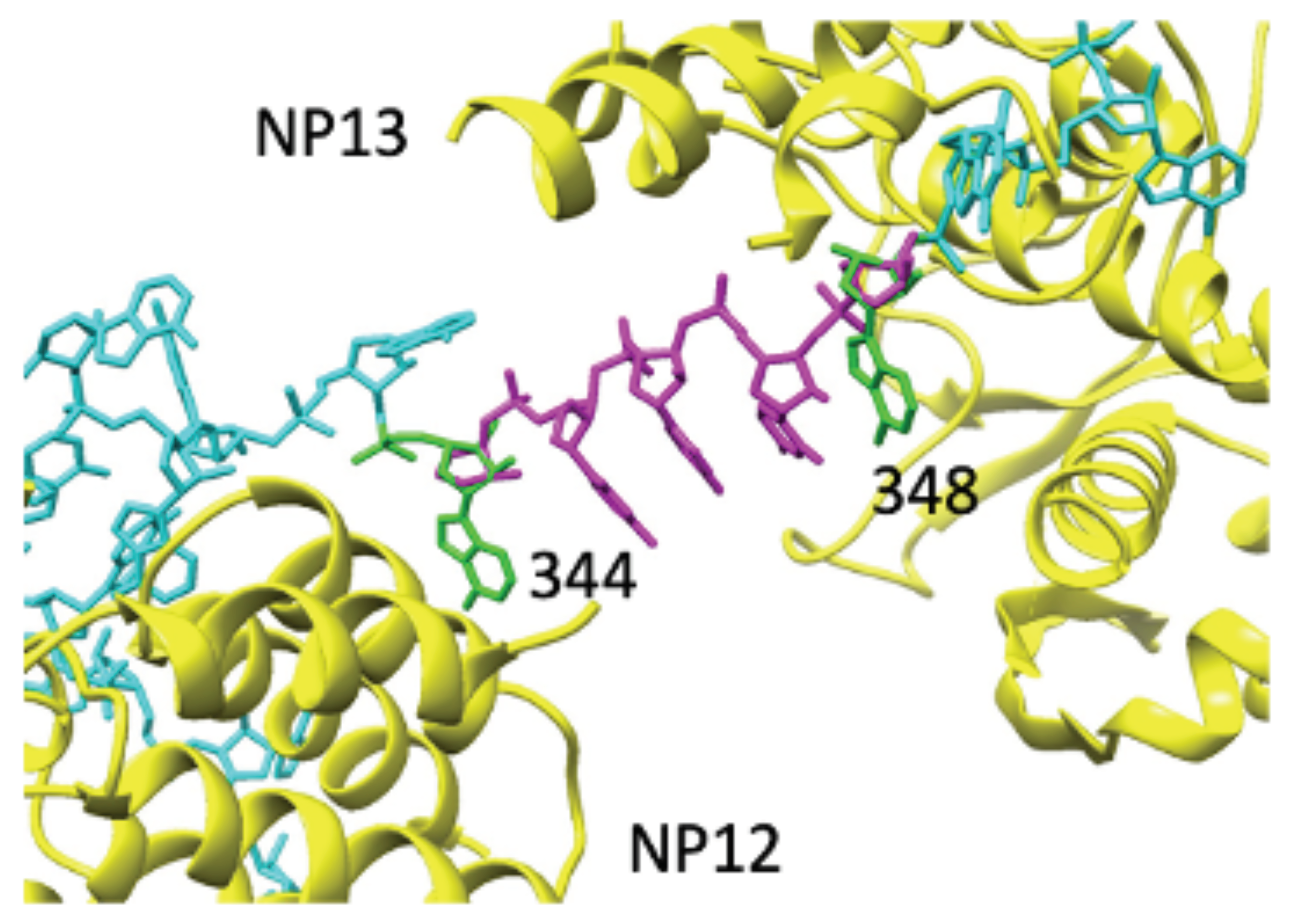 Biomolecules 11 00124 g004 Biomolecules 11 00124 g004