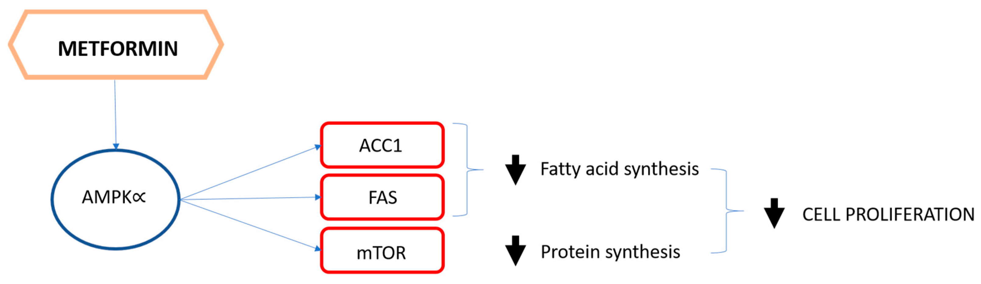 Biomolecules 11 00125 g001