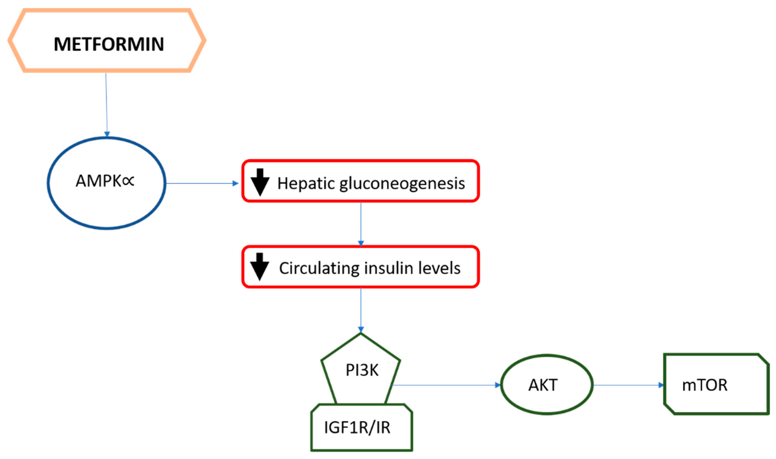 Biomolecules 11 00125 g002