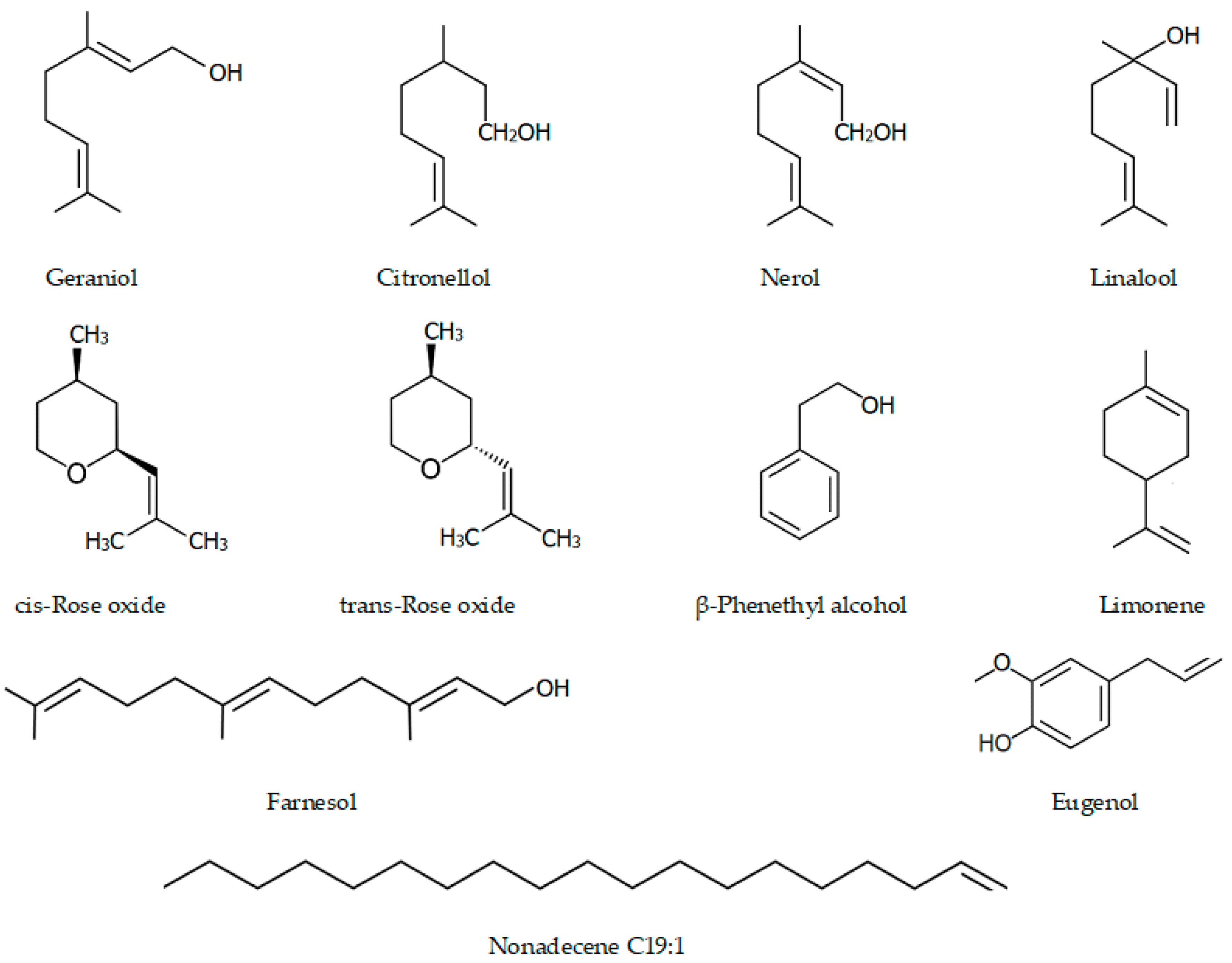 Biomolecules | Free Full-Text | Rose Flowers—A Delicate Perfume or a  Natural Healer?