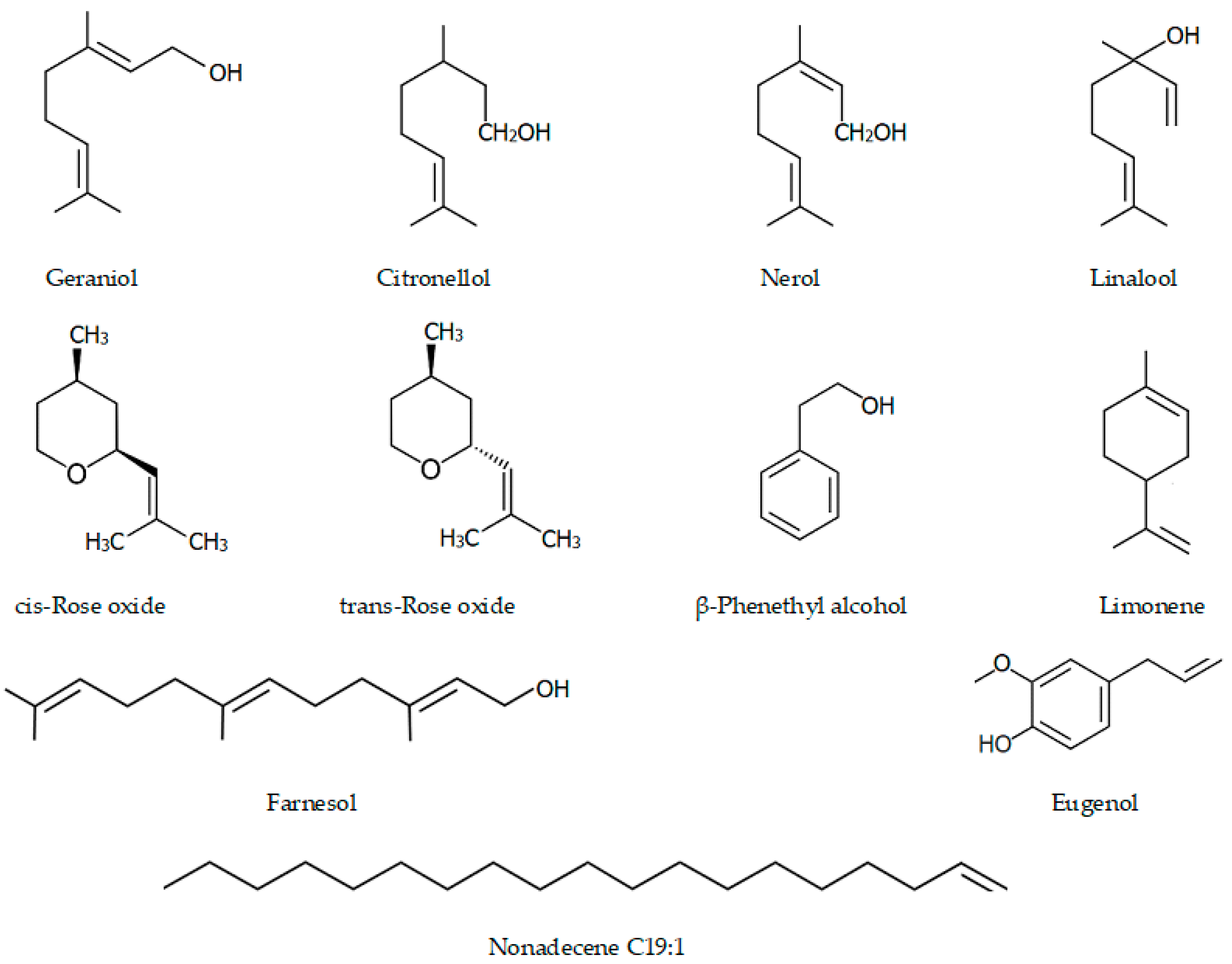 | Full-Text or Perfume Delicate a Natural Rose Free | Flowers—A Healer? Biomolecules