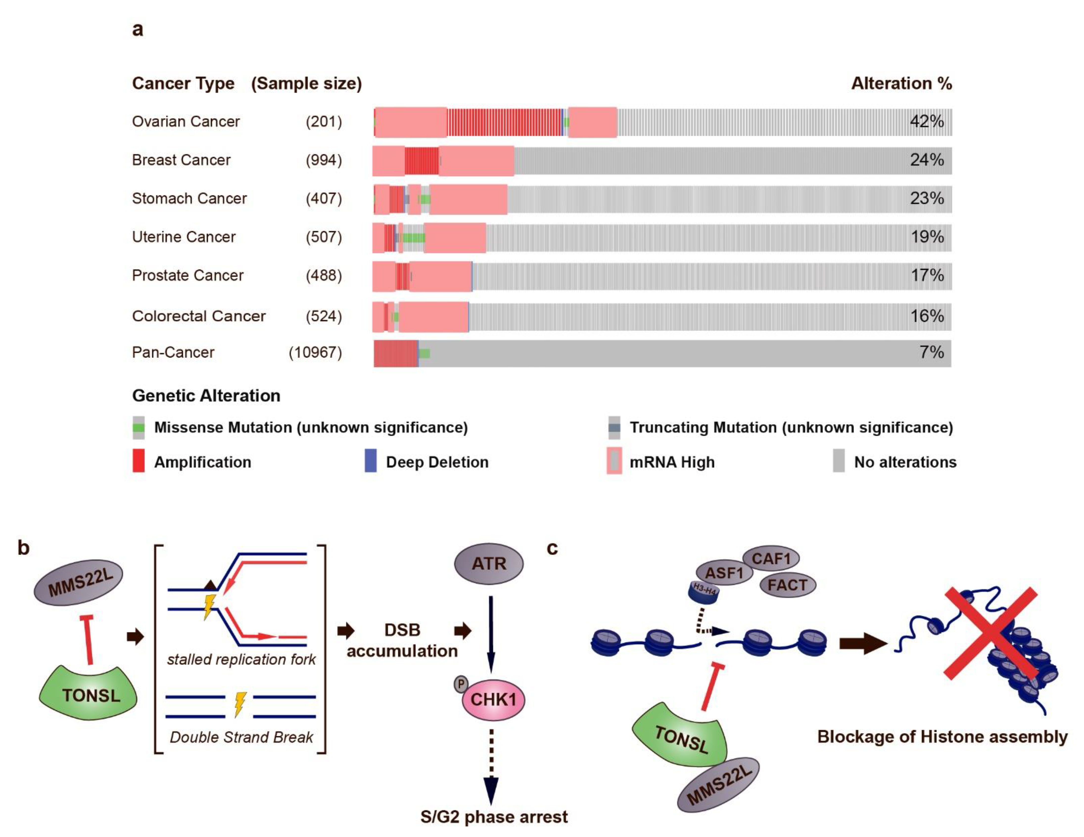 Biomolecules 11 00129 g002