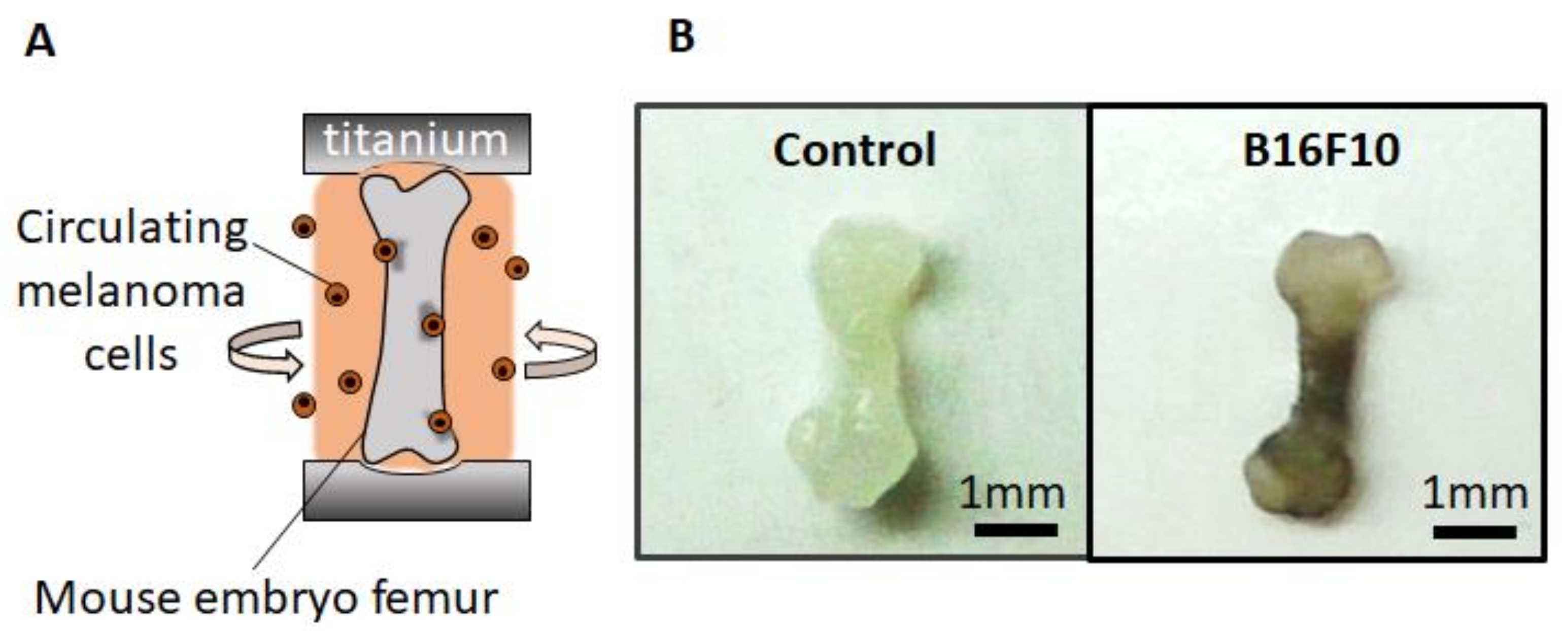 Biomolecules 11 00131 g001 Biomolecules 11 00131 g001