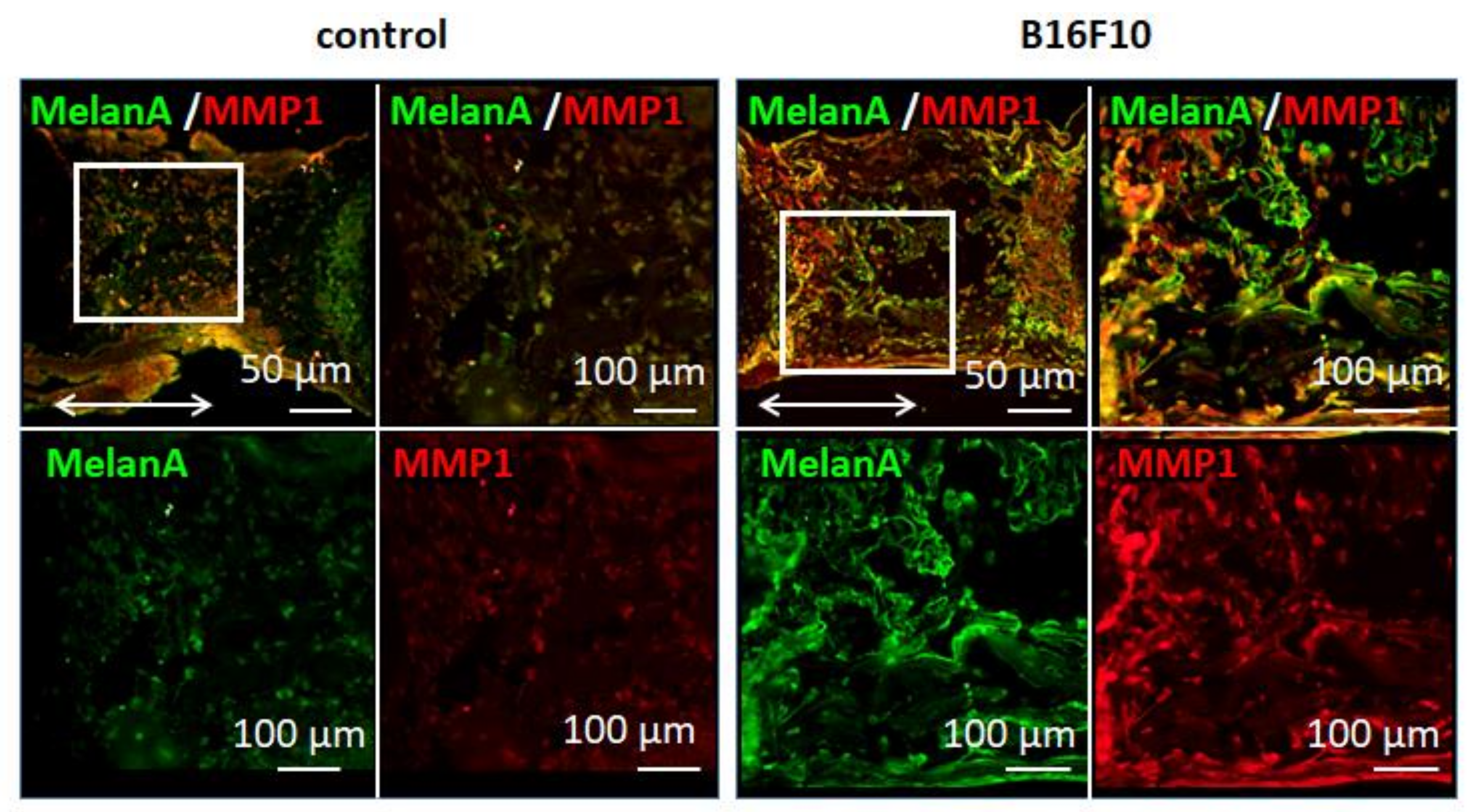Biomolecules 11 00131 g002 Biomolecules 11 00131 g002