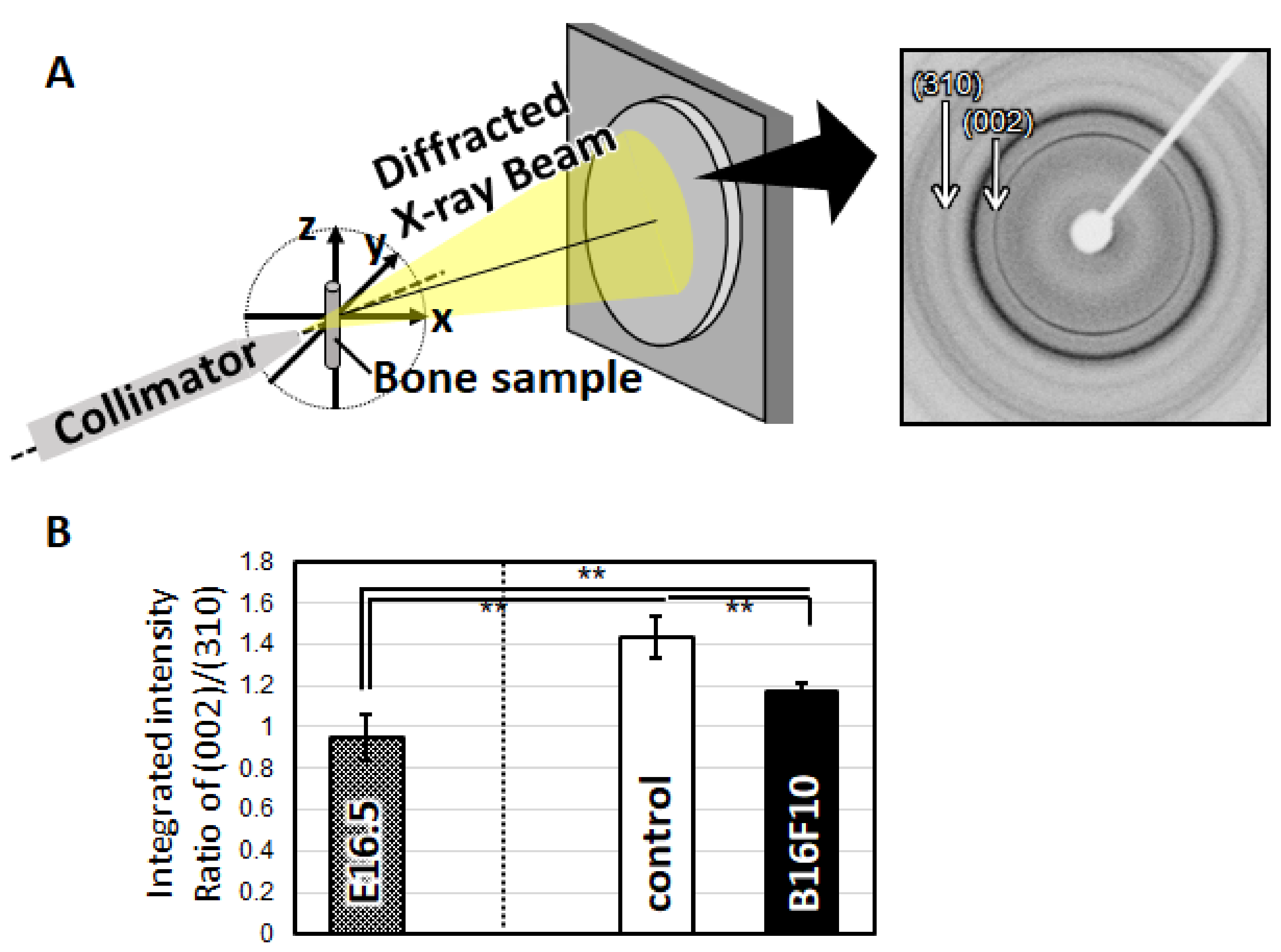 Biomolecules 11 00131 g004 Biomolecules 11 00131 g004