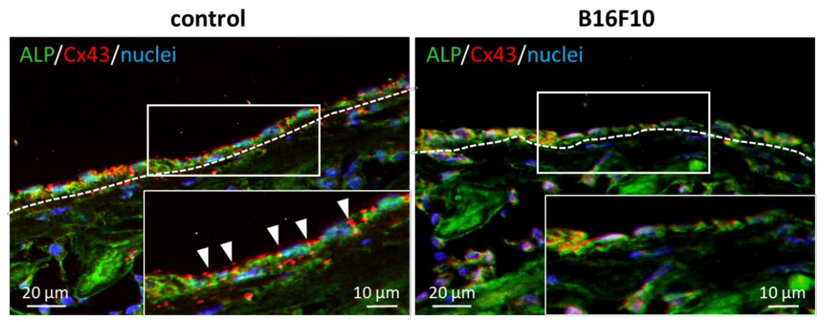 Biomolecules 11 00131 g005 Biomolecules 11 00131 g005