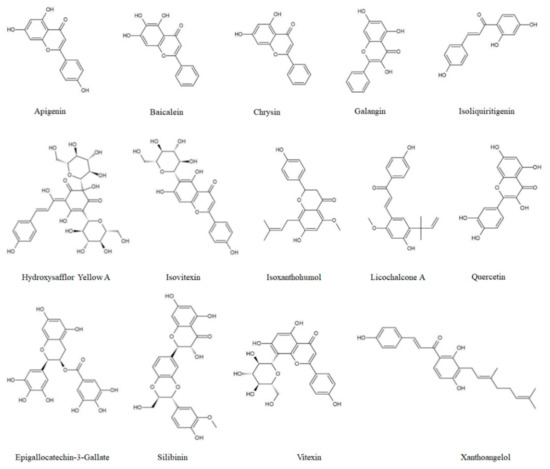 Autophagy: Mechanisms and Therapeutic Potential of