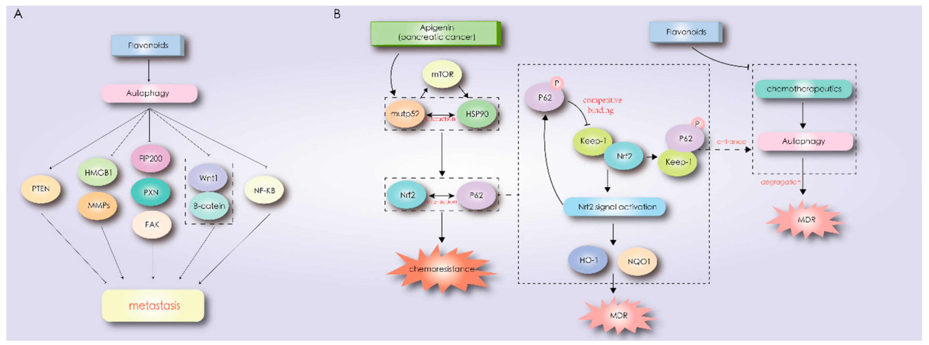 Biomolecules 11 00135 g003 Biomolecules 11 00135 g003