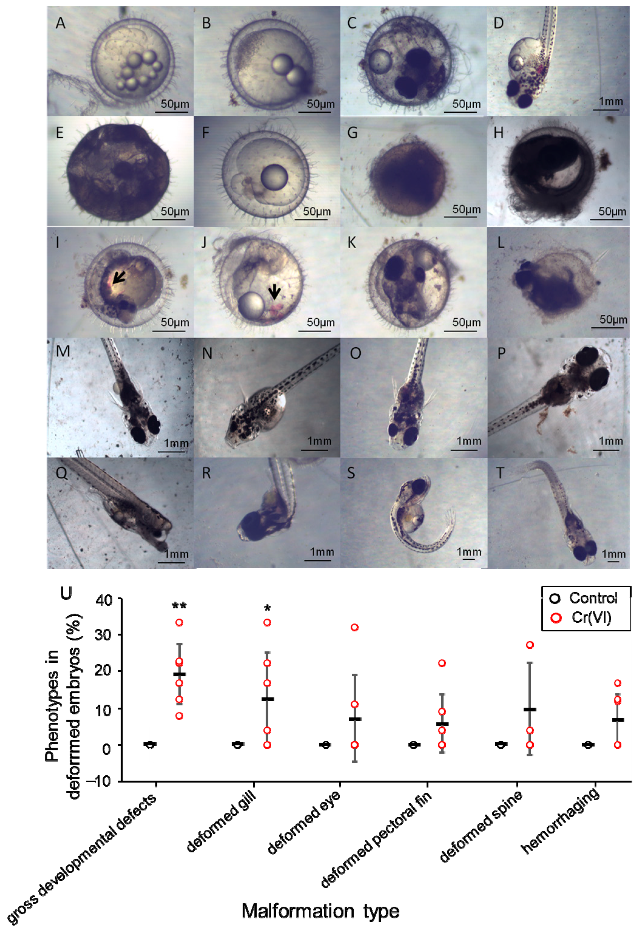 Biomolecules 11 00138 g005