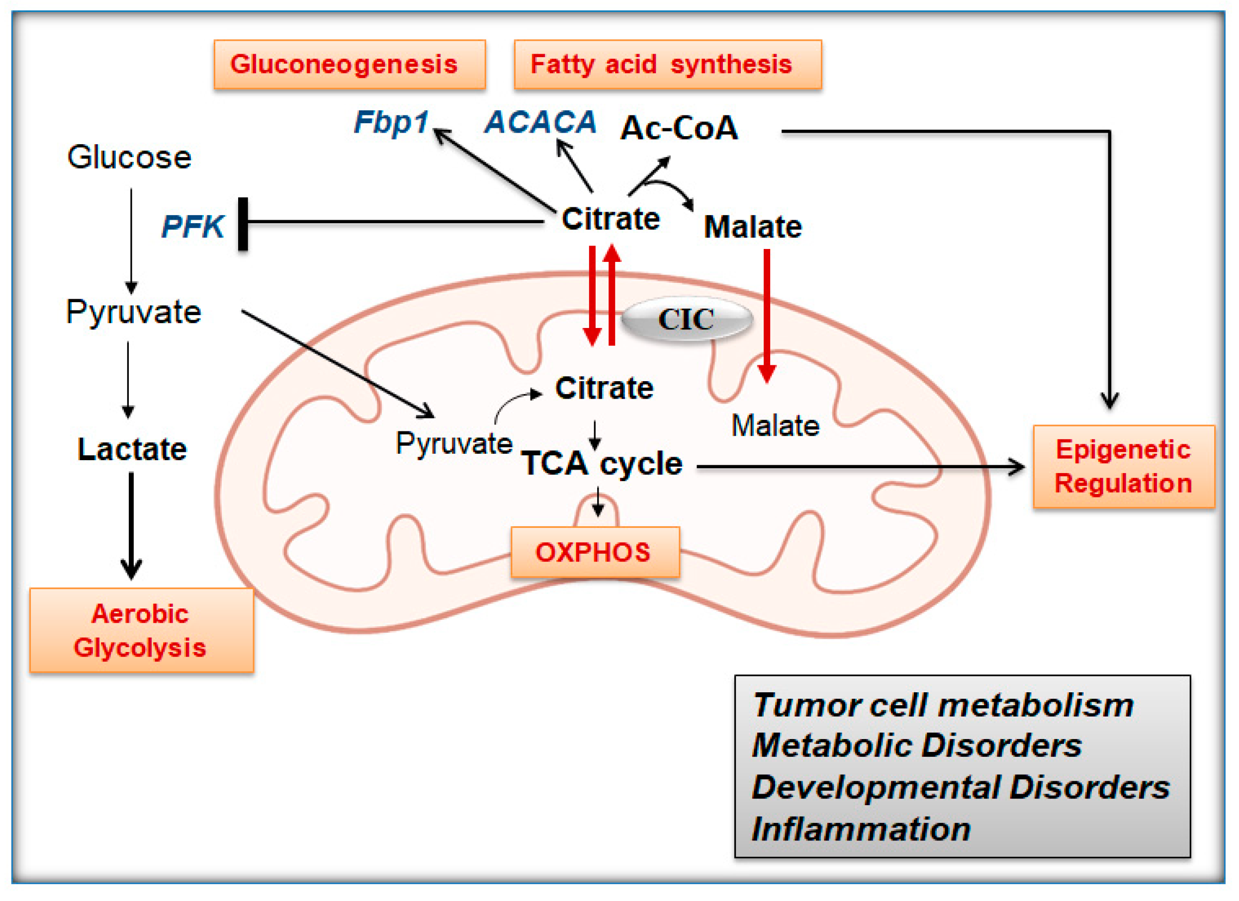 Biomolecules 11 00141 g001 Biomolecules 11 00141 g001