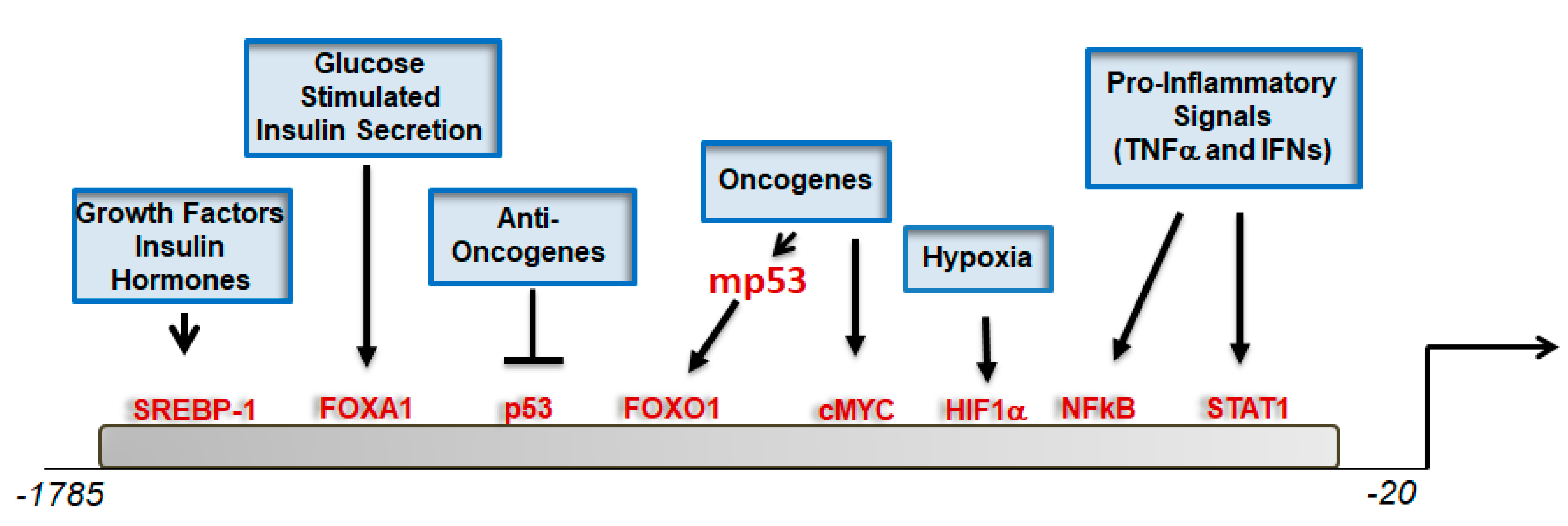 Biomolecules 11 00141 g003 Biomolecules 11 00141 g003