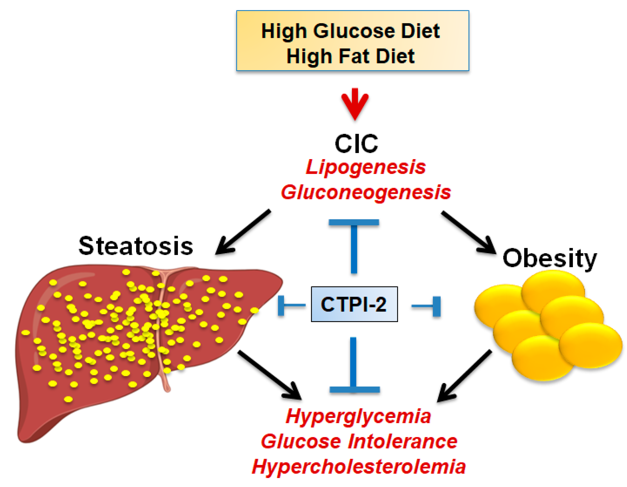 Biomolecules 11 00141 g005 Biomolecules 11 00141 g005