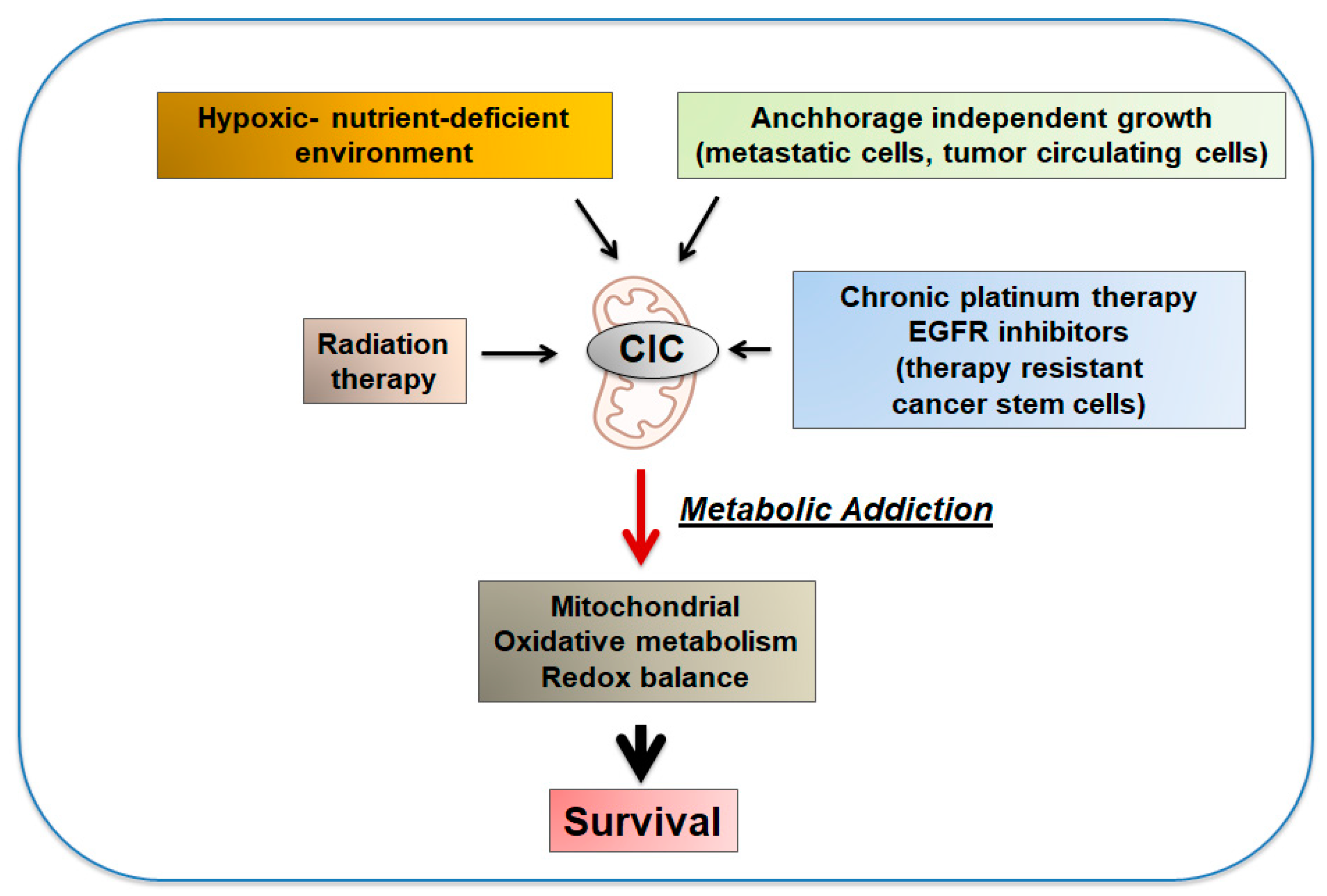 Biomolecules 11 00141 g006 Biomolecules 11 00141 g006