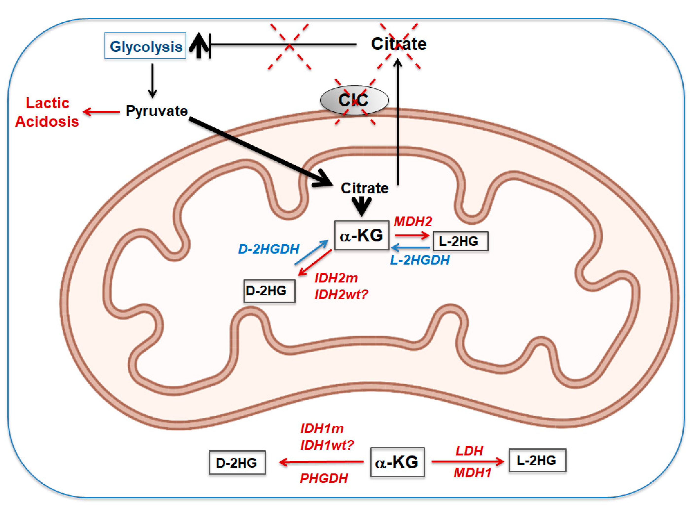 Biomolecules 11 00141 g008 Biomolecules 11 00141 g008