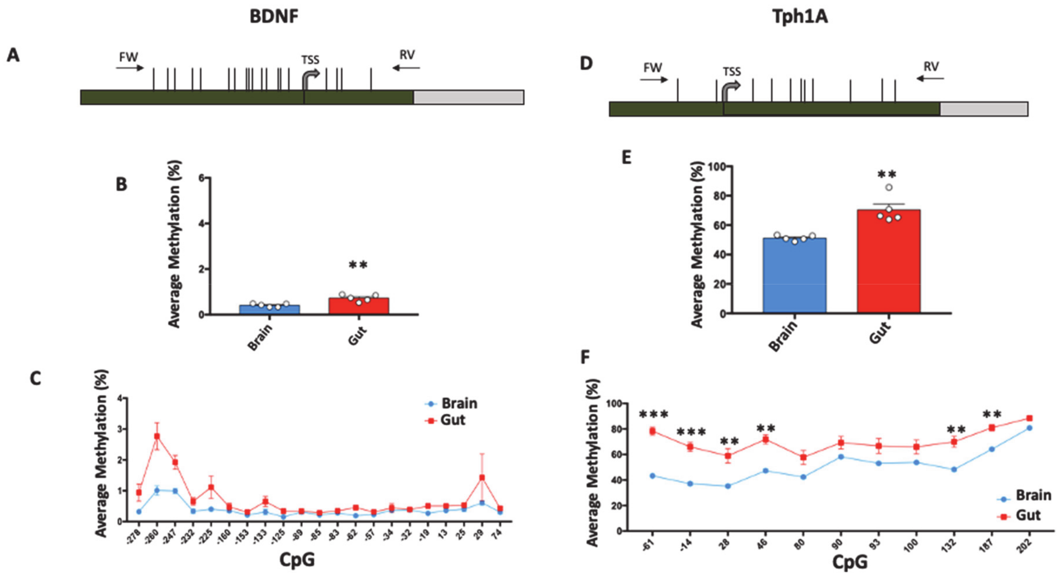 Biomolecules 11 00142 g002 Biomolecules 11 00142 g002